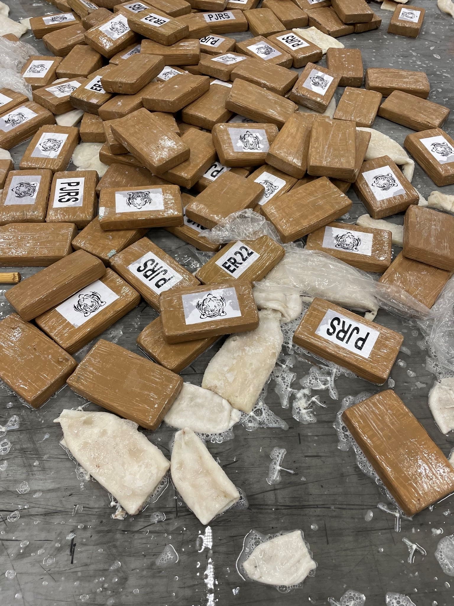 Ruim 200 miljoen euro aan coke onderschept tussen de diepgevroren inktvis