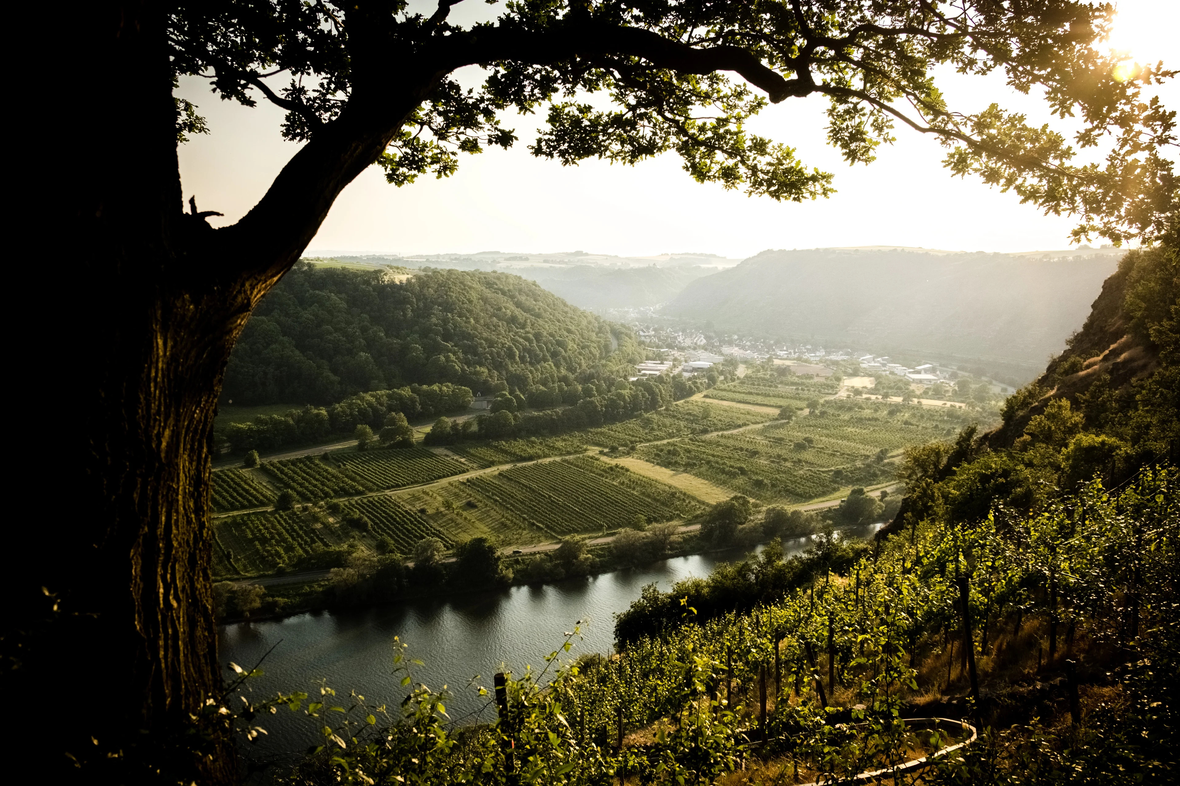 Boot van schipper Gerrit met kerst niet thuis: tientallen vrachtschepen vast door kapotte sluisdeuren