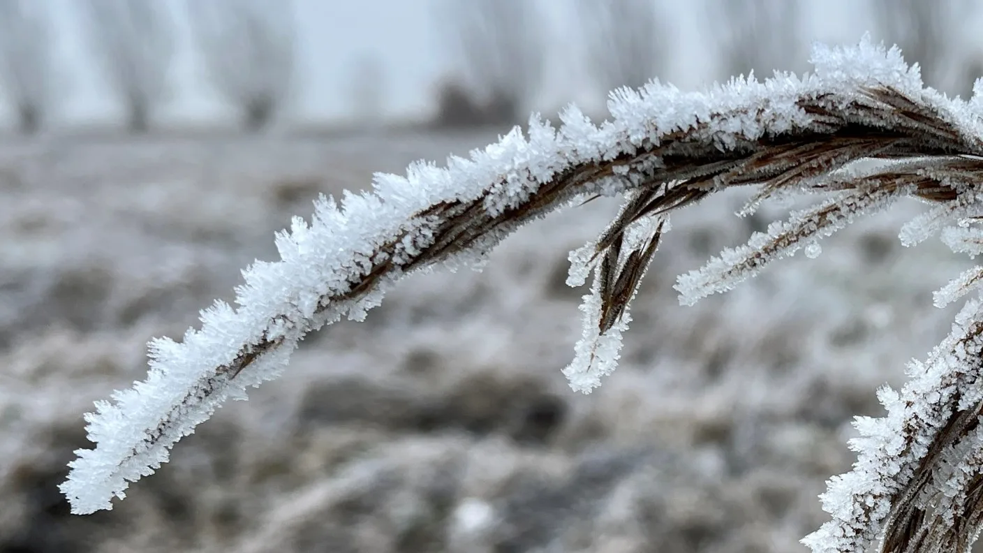 Eerste officiële ijsdag van deze winter is een feit