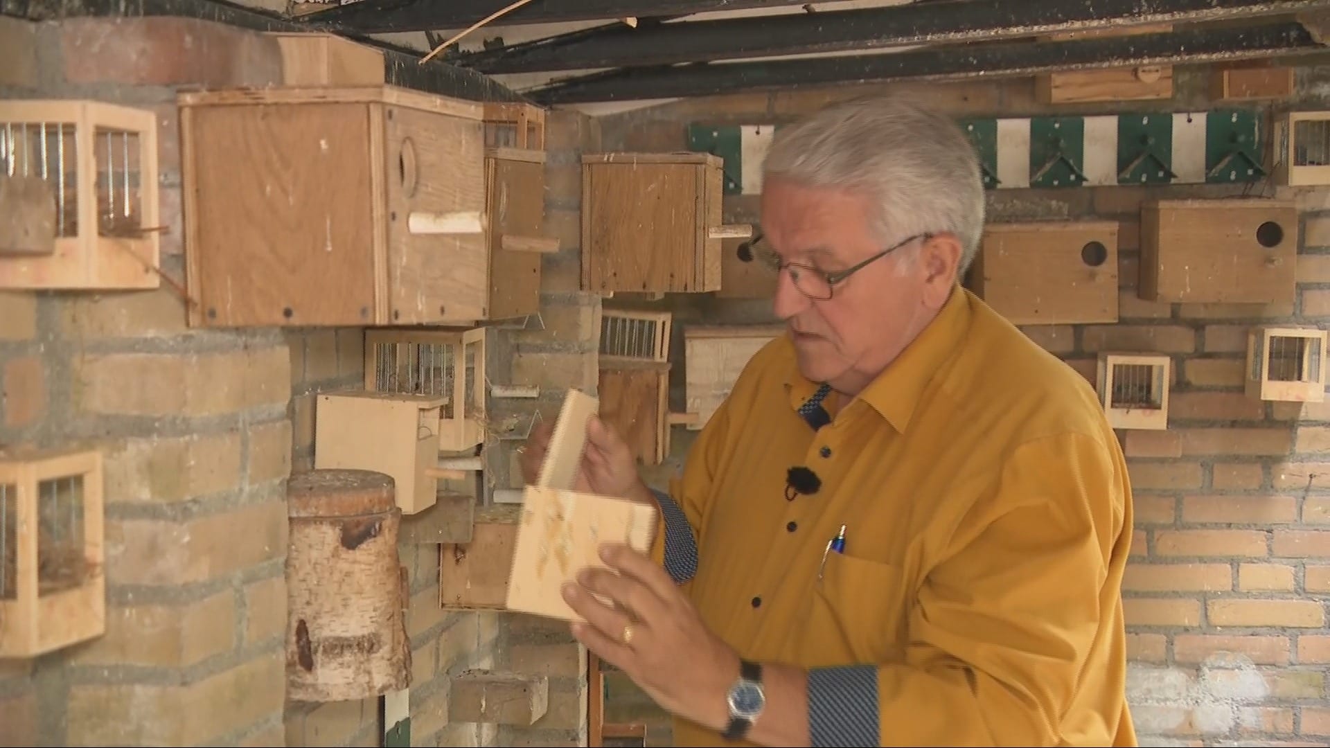 Dief knipt gat in volière Eindhoven: 27 vogels verdwenen