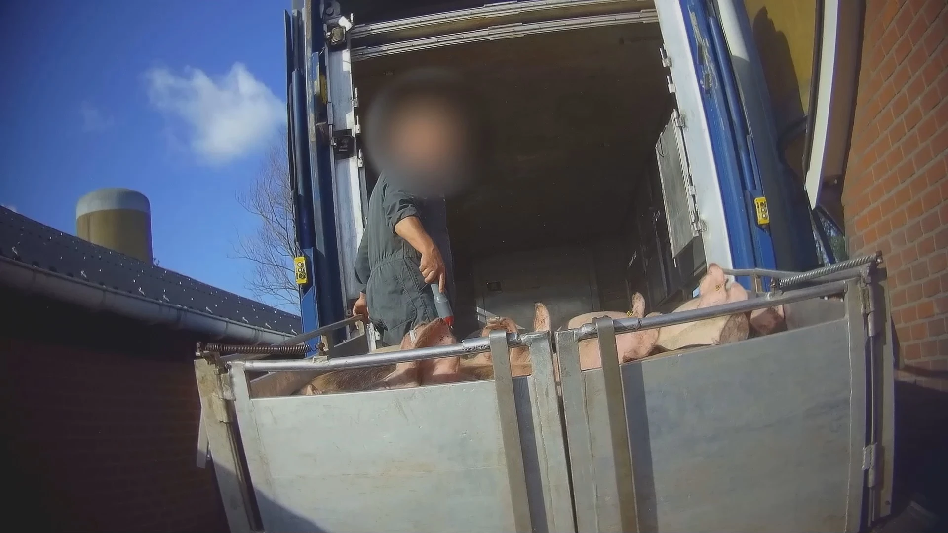 Toch verbod op stroomstootapparatuur: 'Ik zie hoe het leeft in de Kamer'