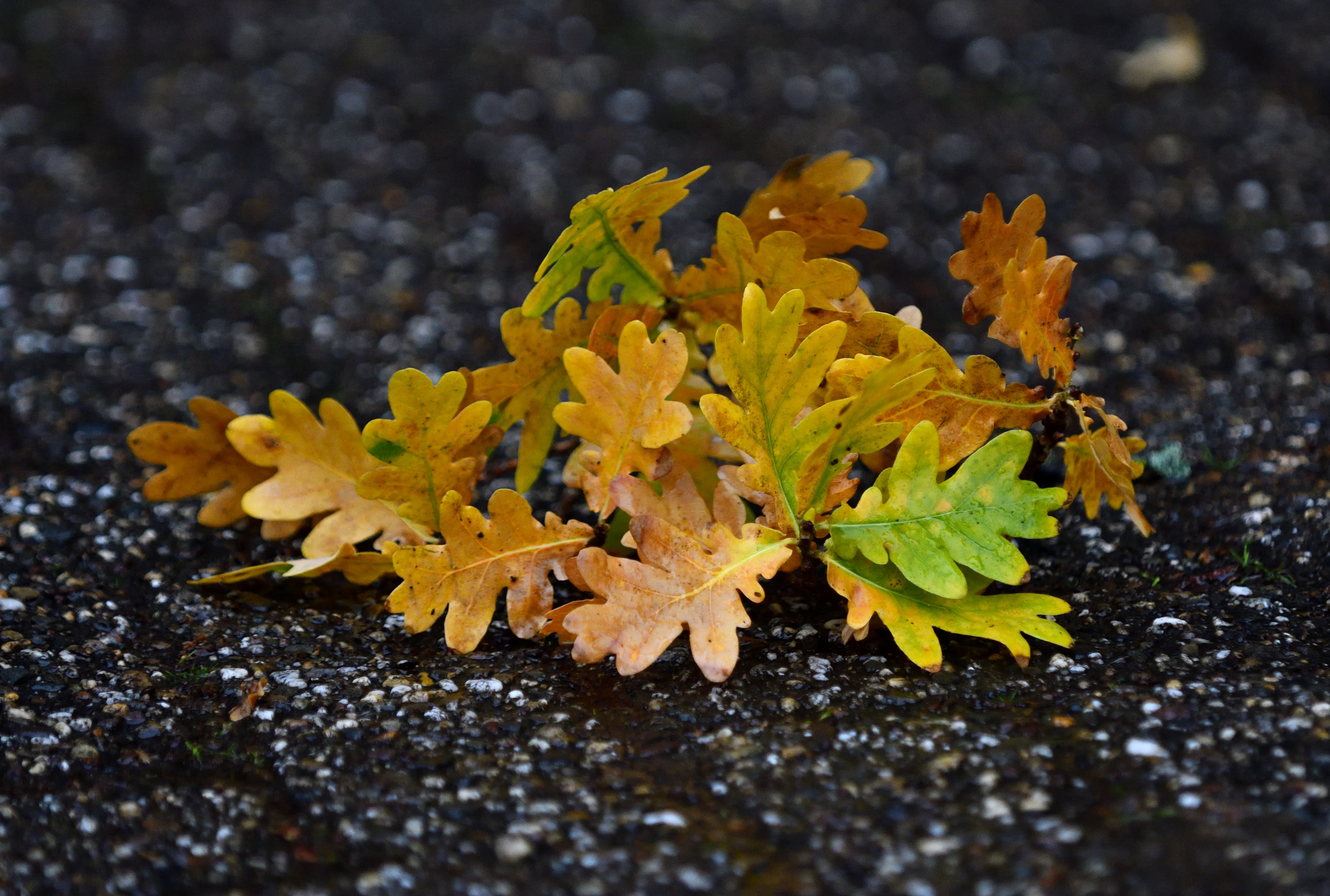 Warme en wisselvallige dagen op komst: dit staat je vandaag te wachten