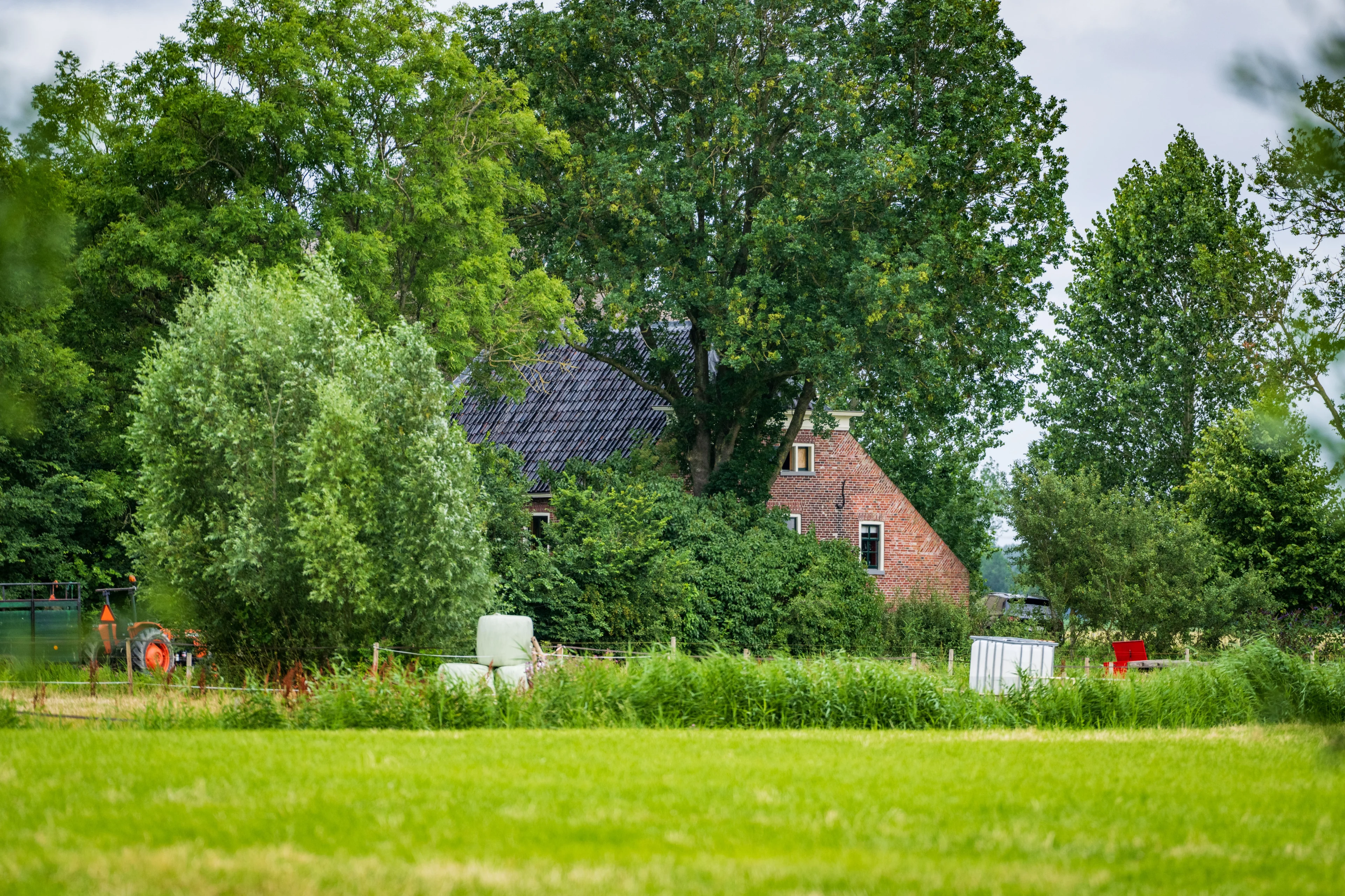 'Seksuele intimidatie en angstcultuur op zorgboerderij Holwierde'