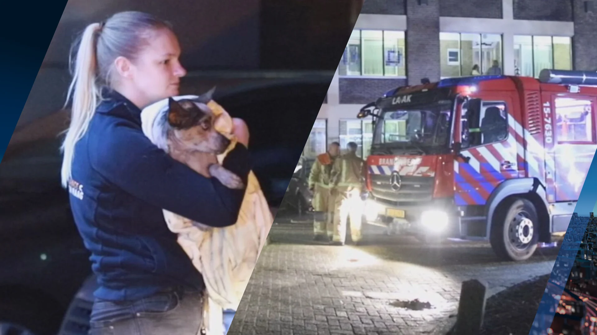 Kat overleden bij uitslaande woningbrand in Den Haag