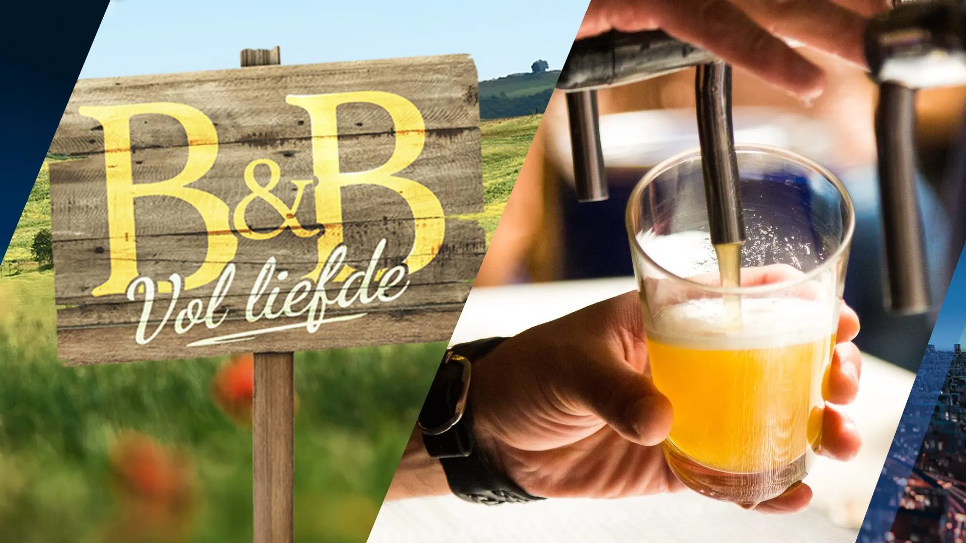 Hoe vind je de ware liefde: deelnemen aan B&B Vol Liefde of ouderwets de kroeg in?