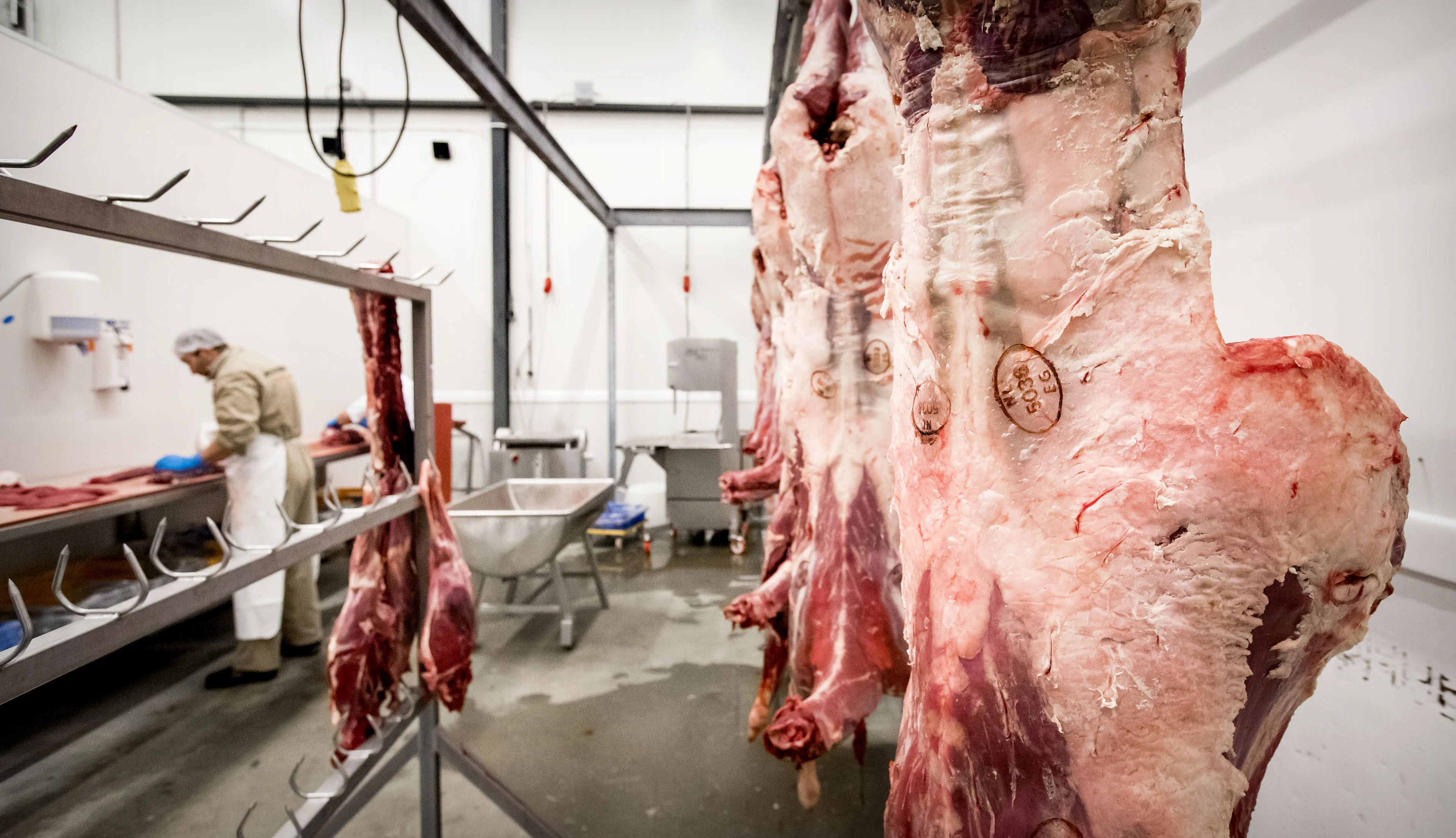 CBS: Nederland was vorig jaar grootste vleesexporteur van Europa