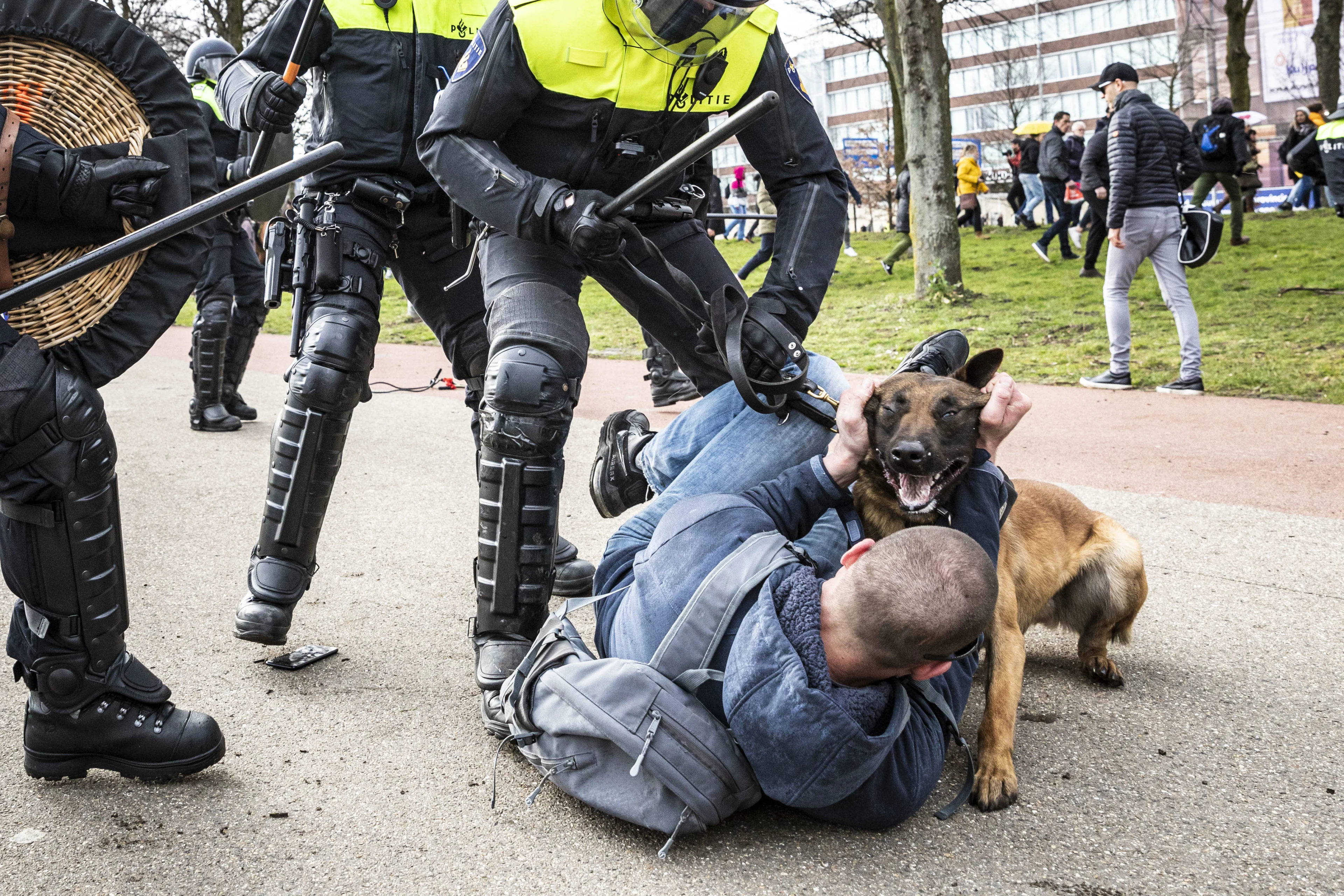 Werkstraf van 150 uur voor schoppen politiehond op Malieveld