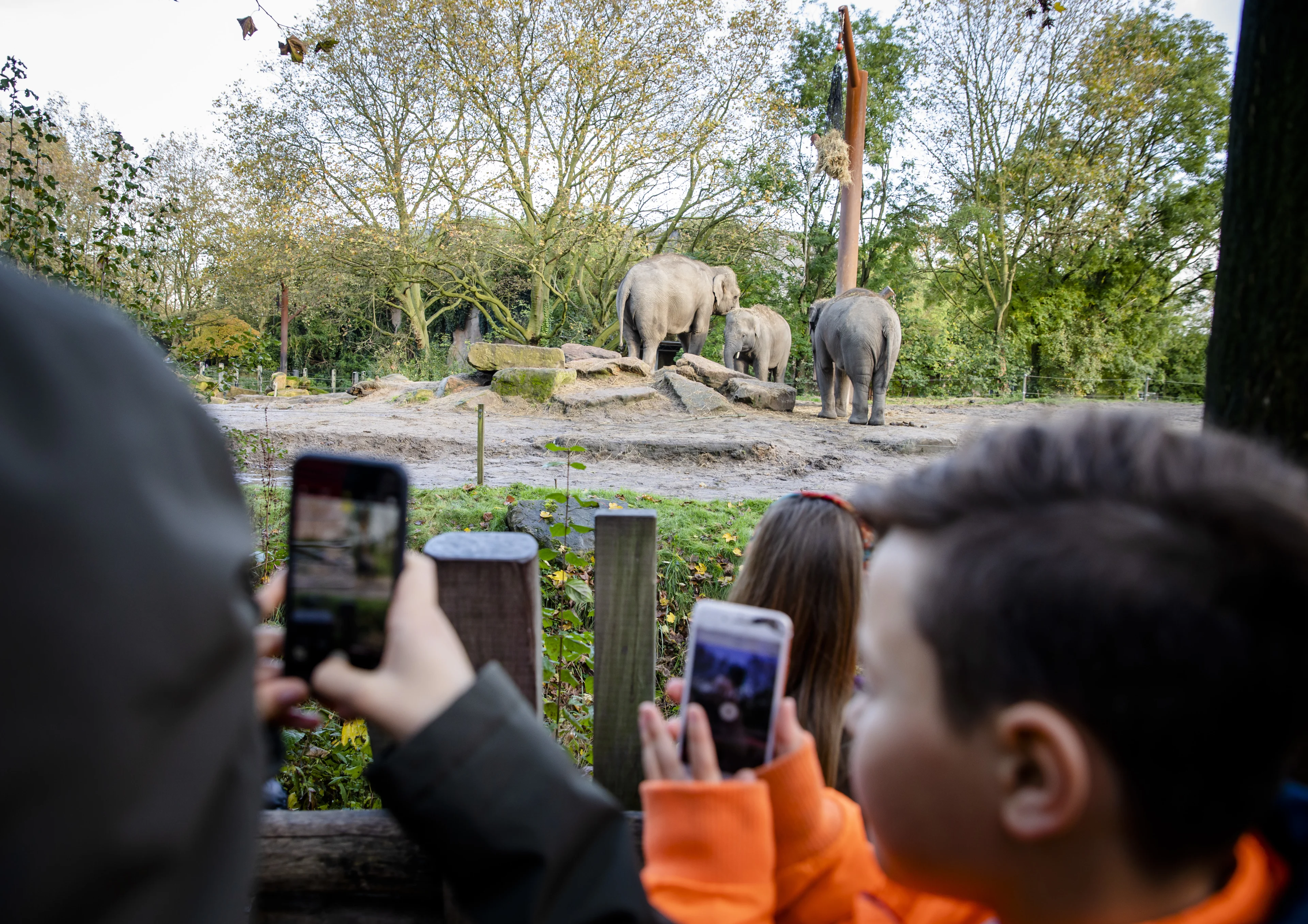 Dierentuinen gewoon open, binnenverblijven gesloten