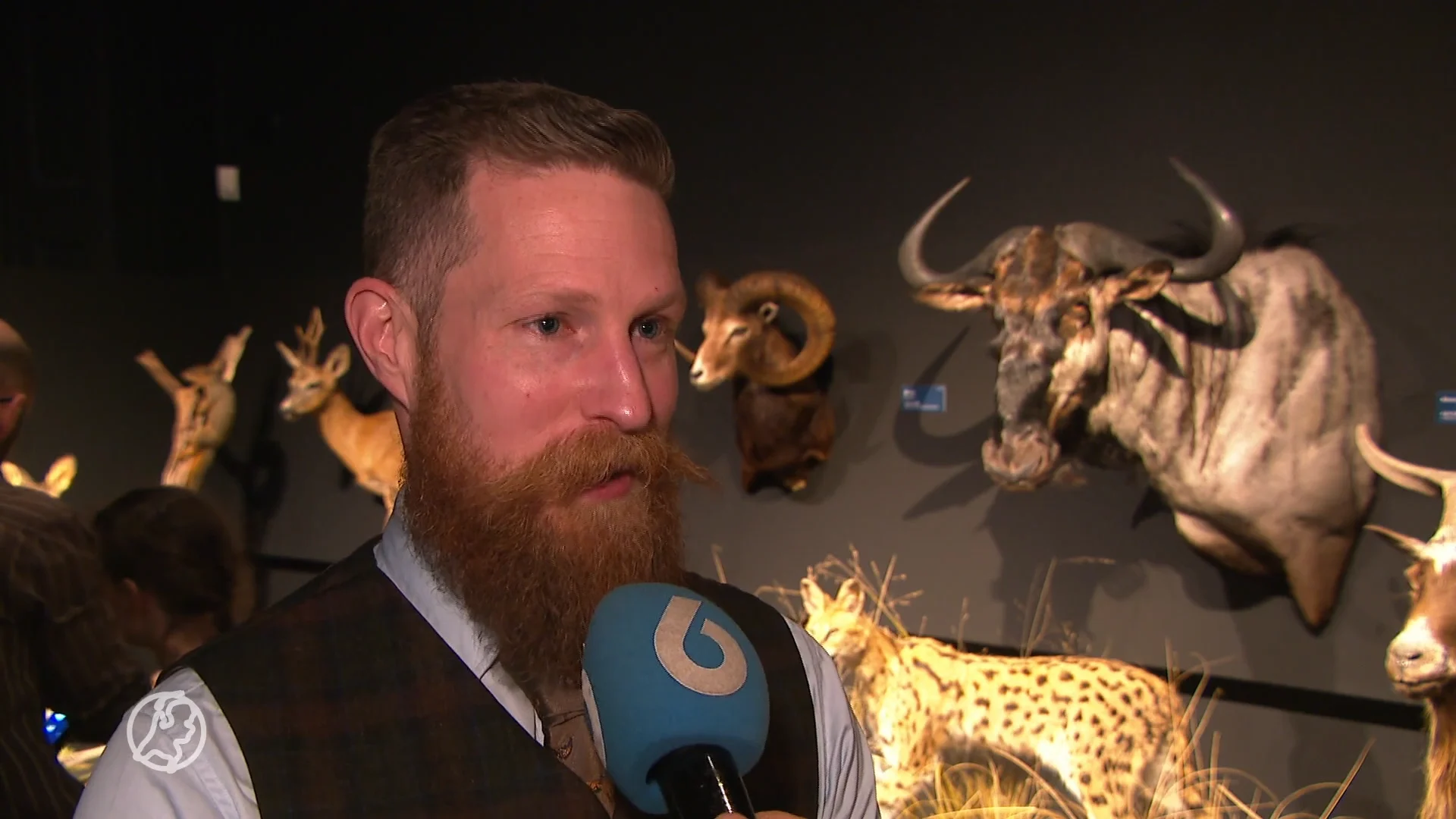 Recordaantal opgezette dieren te zien in Natuurmuseum Fryslân voor NK Prepareren