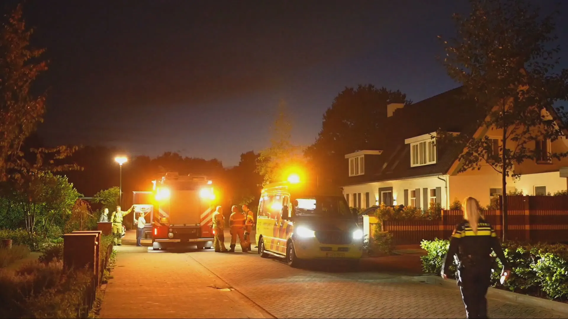 Man aangevallen door wespen, agressieve zwerm houdt hulpdiensten op afstand