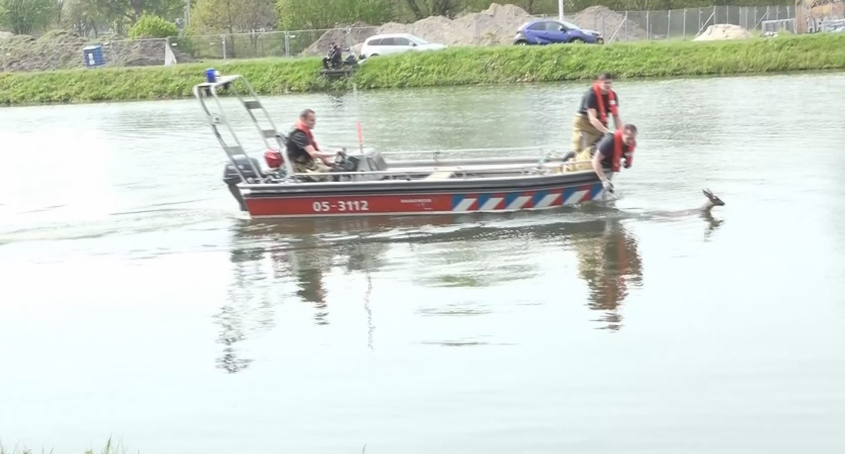 Brandweer redt ree van verdrinkingsdood in Almelo