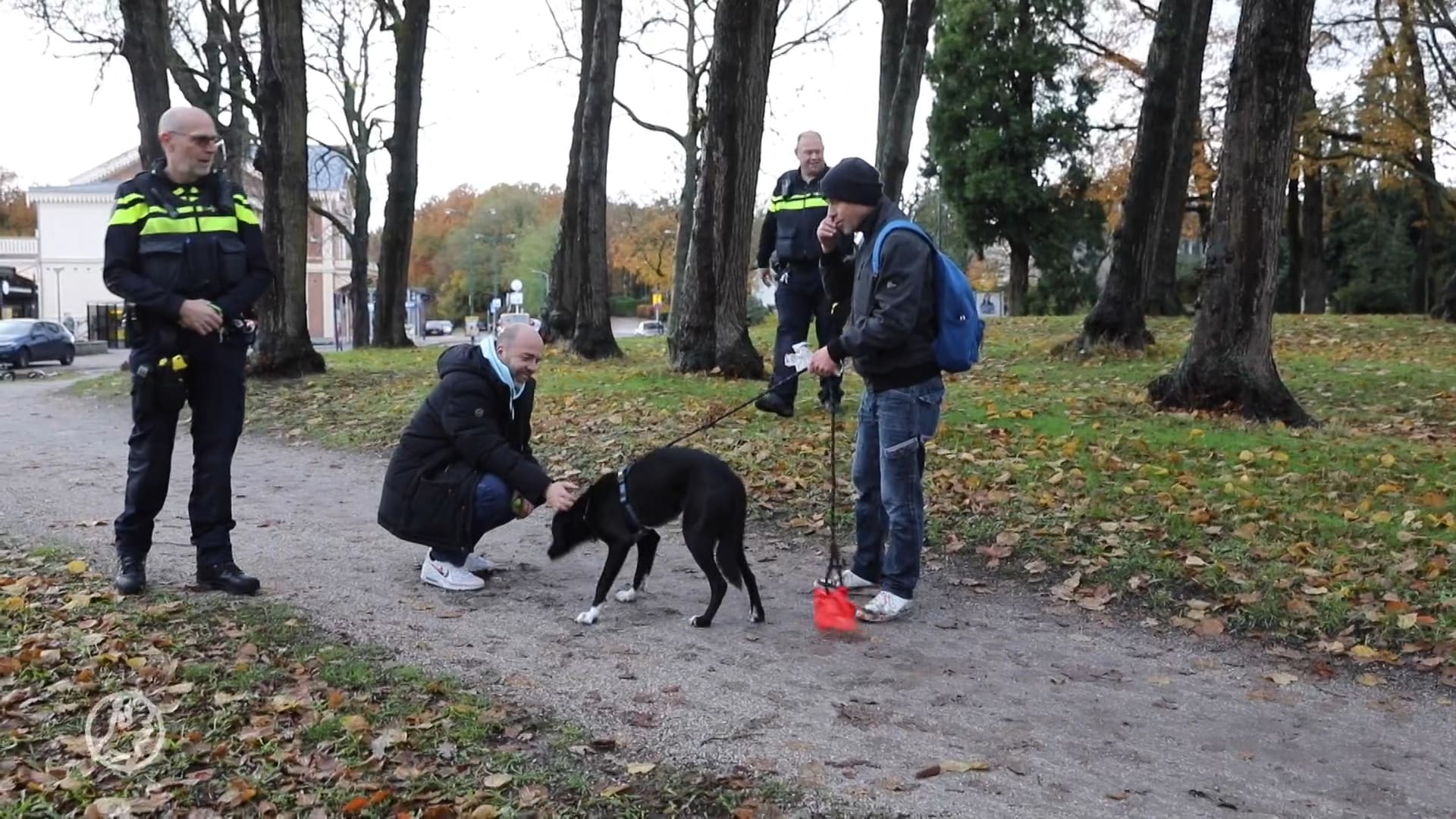Trein stopt voor hond op het spoor, hulpdiensten ter plaatse