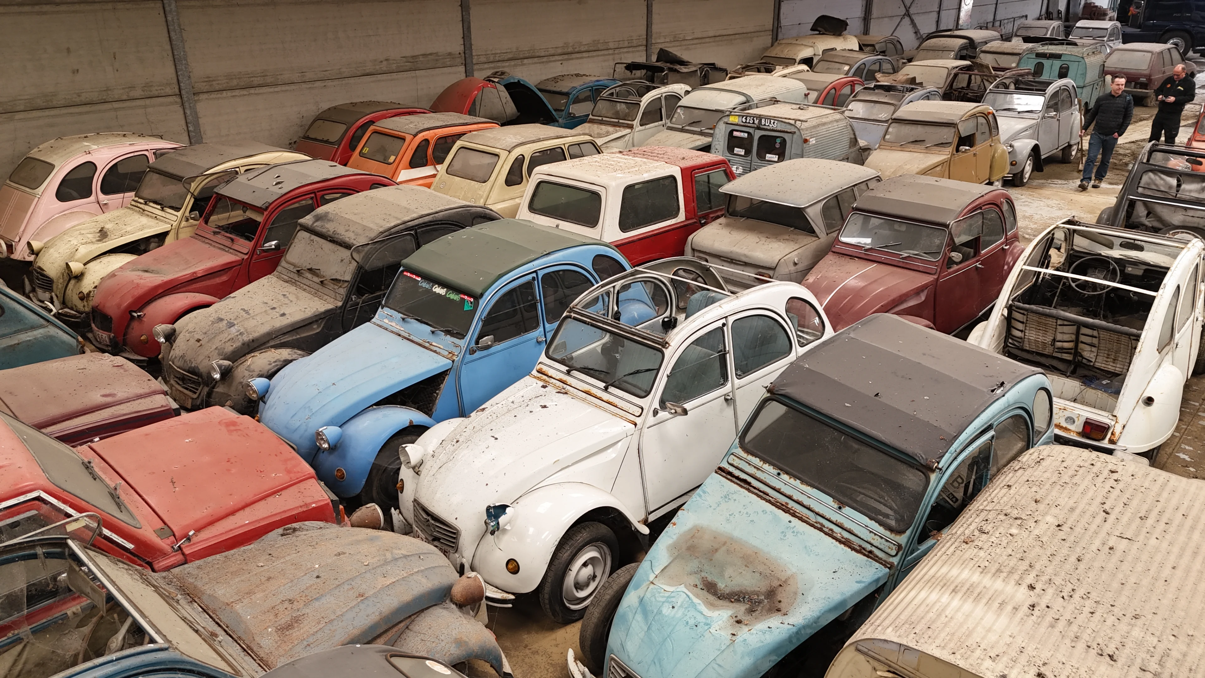 Fans van lelijke eendjes opgelet: hier haal je de deal van je leven