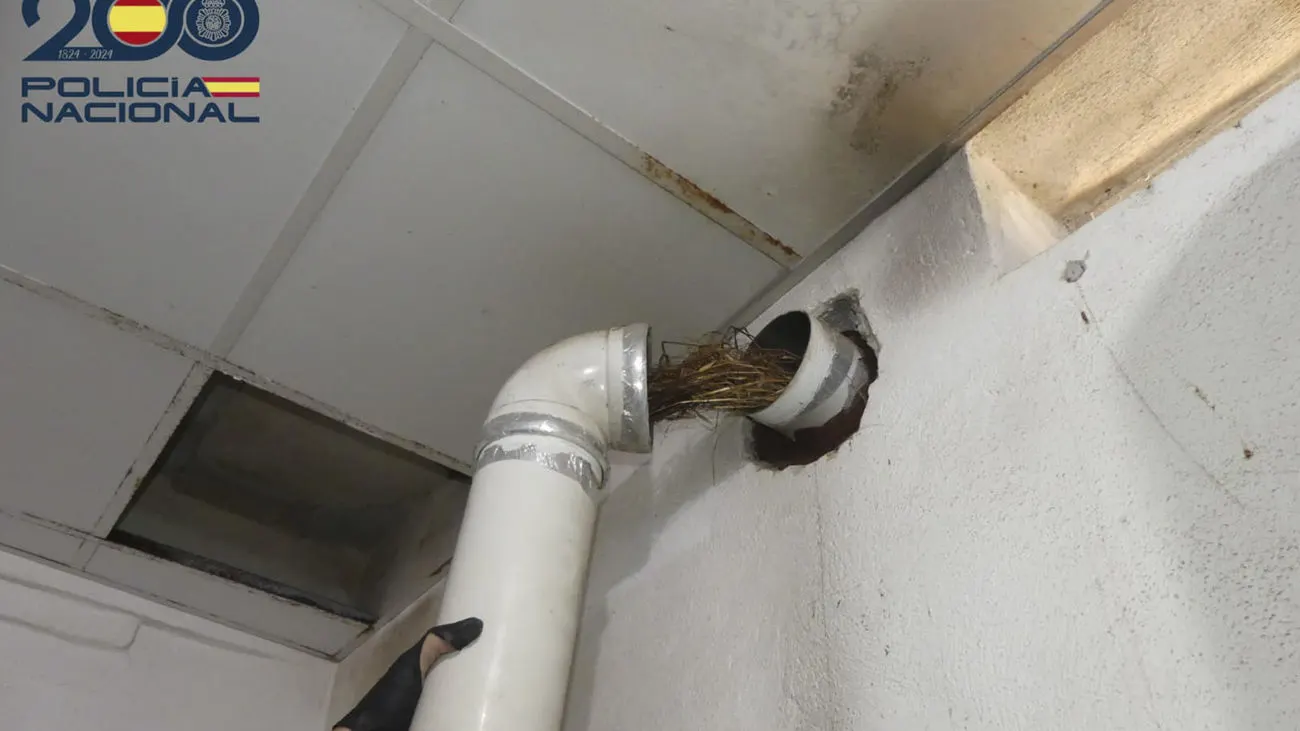 Vogelnest in gasleiding blijkt oorzaak dood Nederlandse toerist Angelo (21) op Mallorca