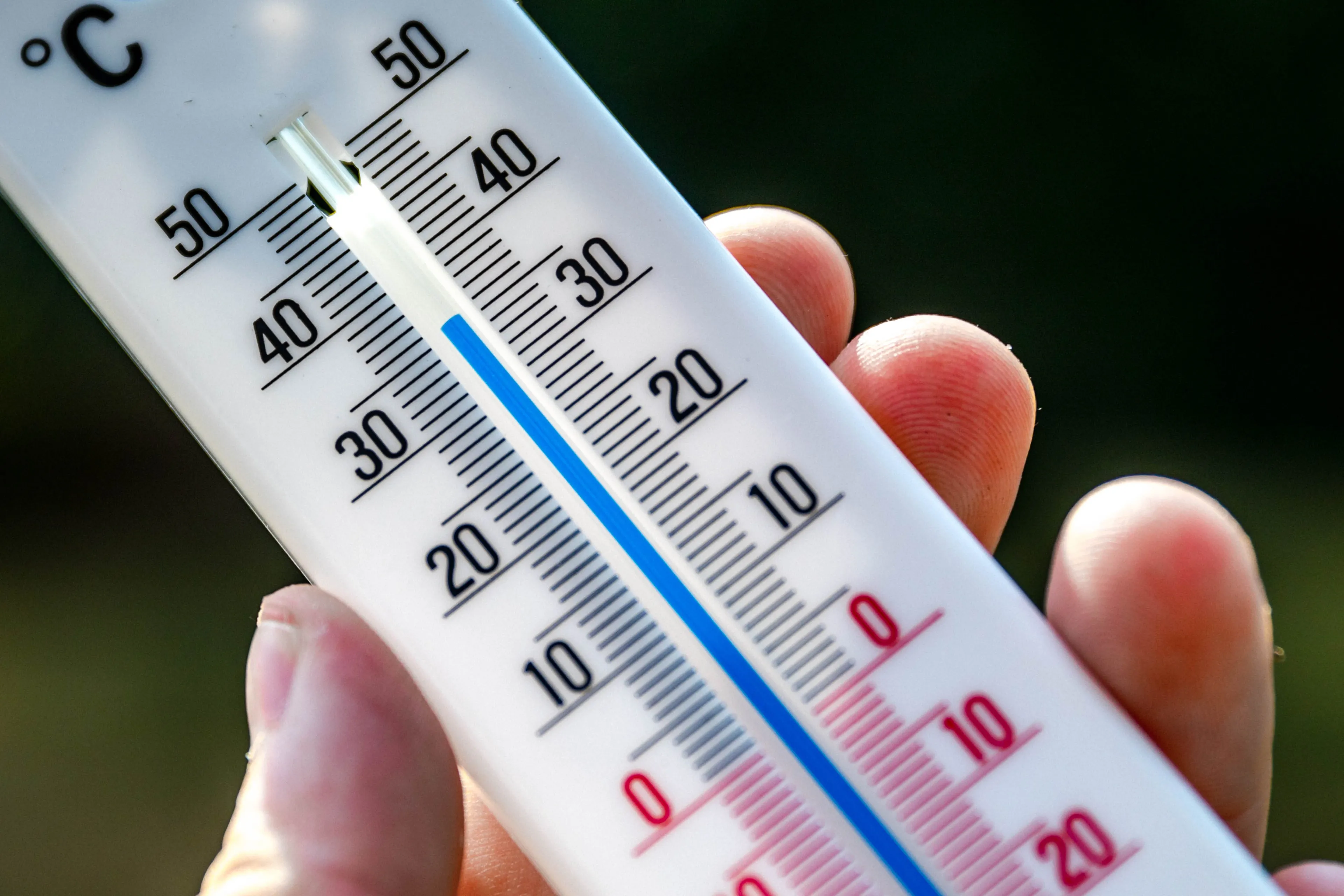 Veel pechmeldingen bij ANWB door hitte, wegdek soms 50 graden | Hart ...
