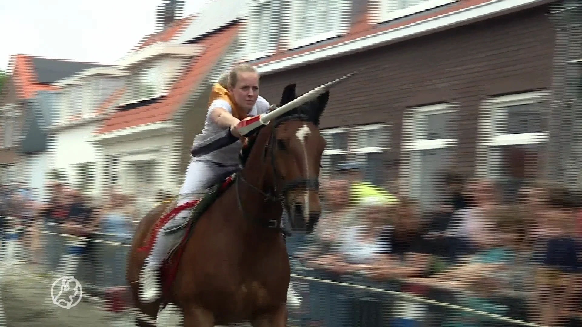 Koning viert jubileum Zeeuwse ringrijders: 'Misschien ga ik stiekem in de tuin oefenen'