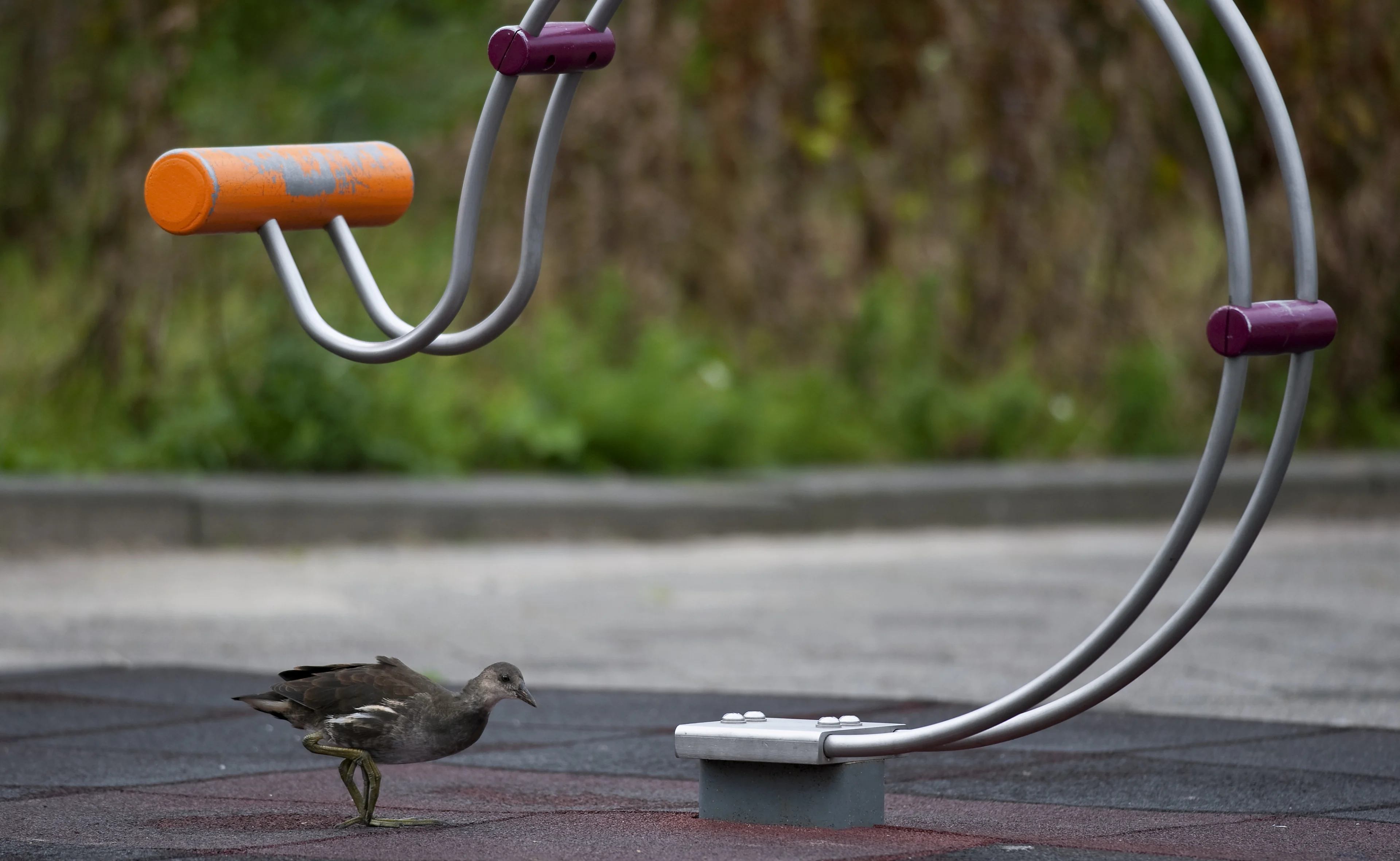 Dronken automobilist rijdt speeltuin Almere binnen waar kinderen spelen