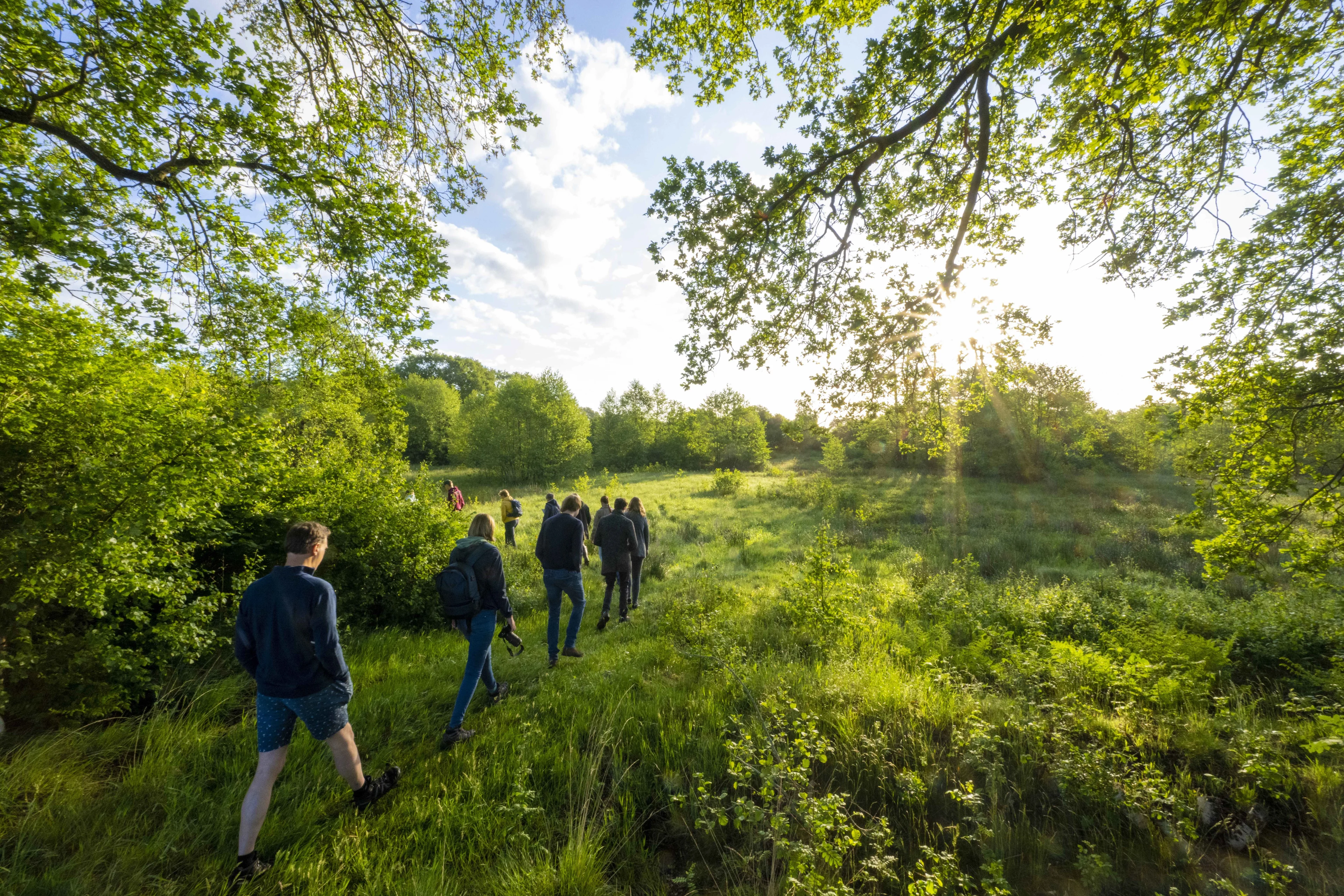 Dauwtrappers opgelet: het wordt een perfecte Hemelvaartsdag