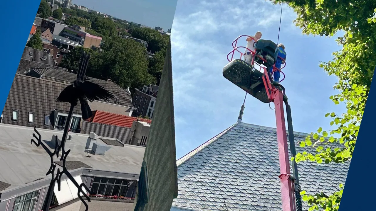 Kauwen zitten vast met kop bovenop kerk in Utrecht, één overleeft het niet
