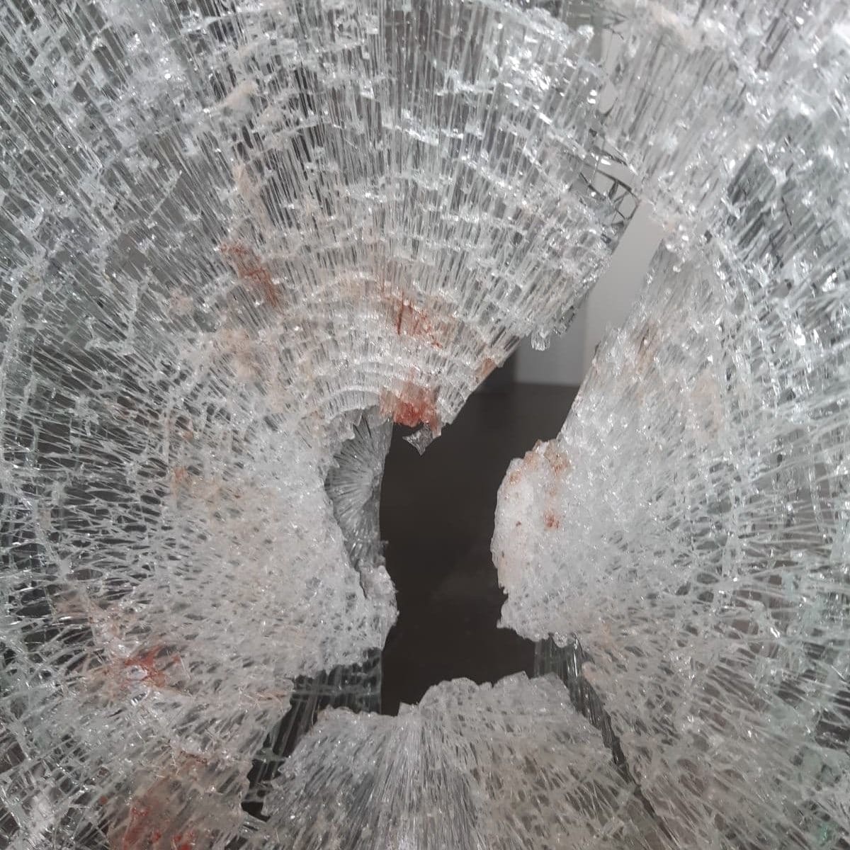 Wollige inbreker onder invloed verbaast bewoners en politie in Nieuw-Beijerland