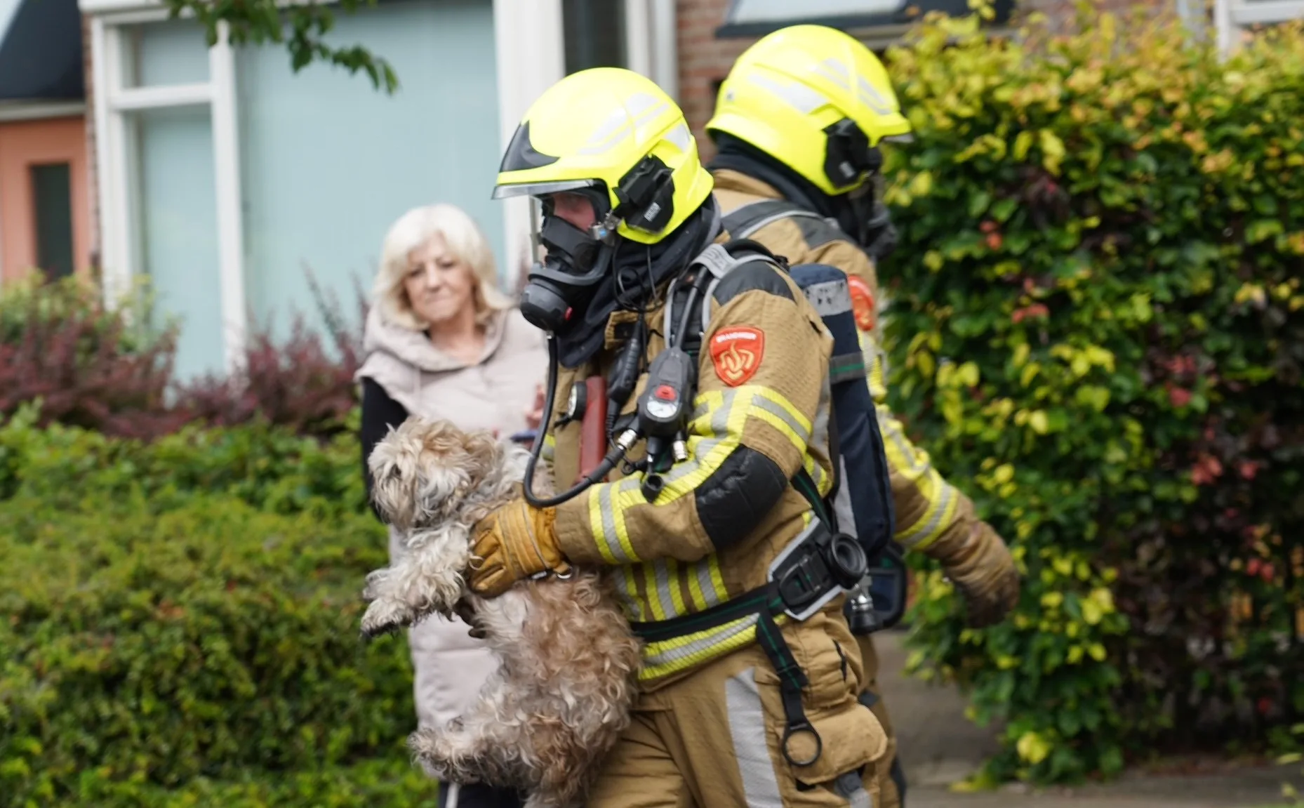 Brandweer redt meerdere huisdieren bij woningbrand in Oosterhout