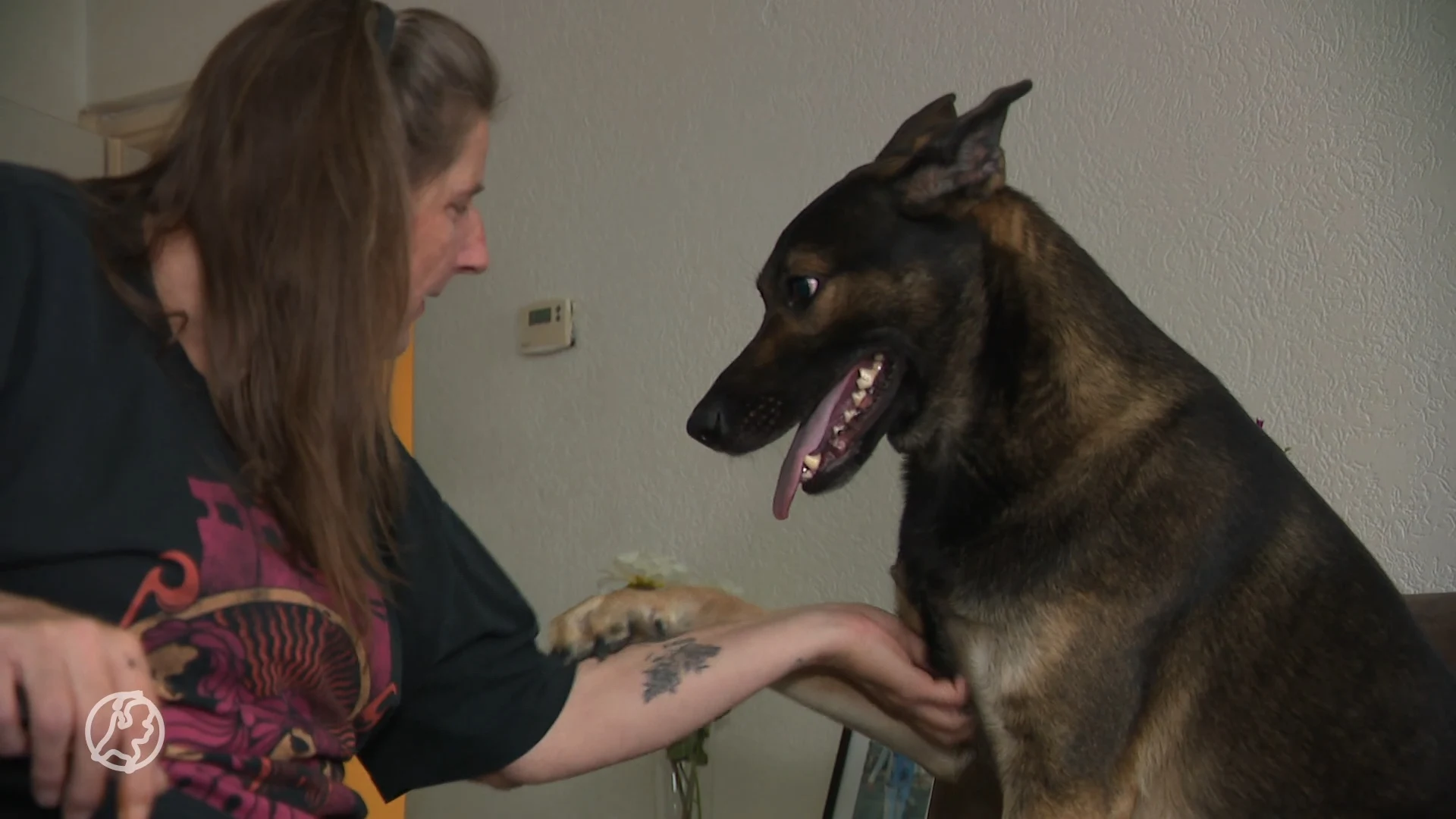 Rineke mishandeld toen ze haar hond uitliet in Dordrecht