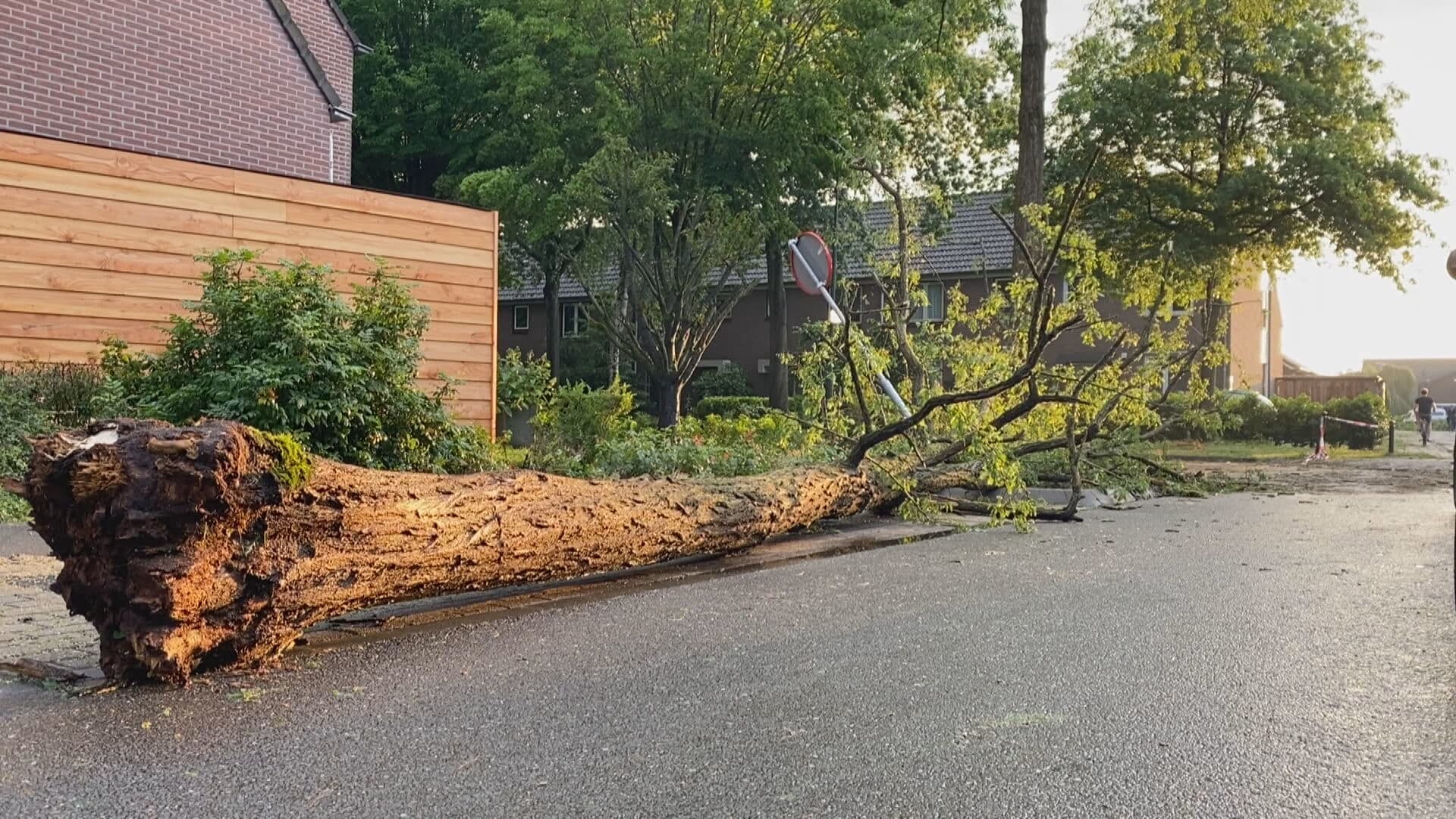 Gemeente checkt bossen bij Leersum op stormschade