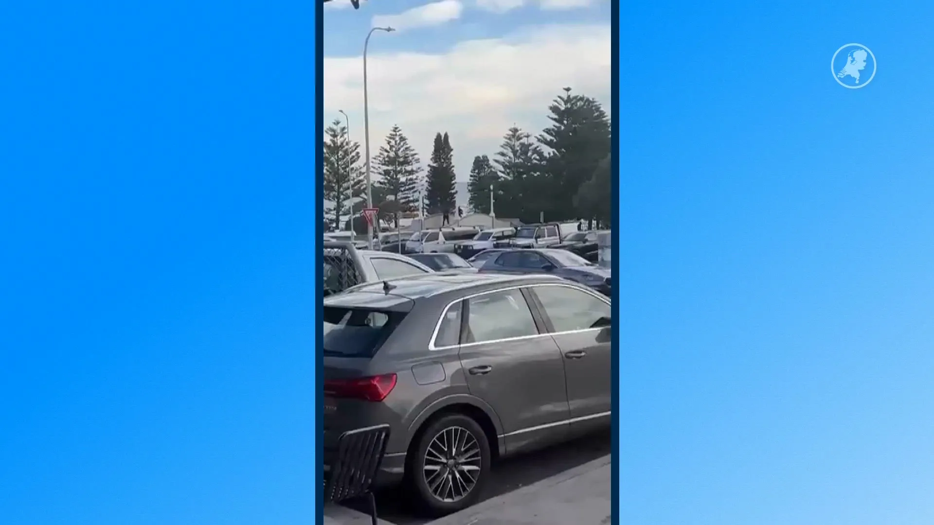 Chaos nabij Bondi Beach: grote schietpartij met meerdere gewonden