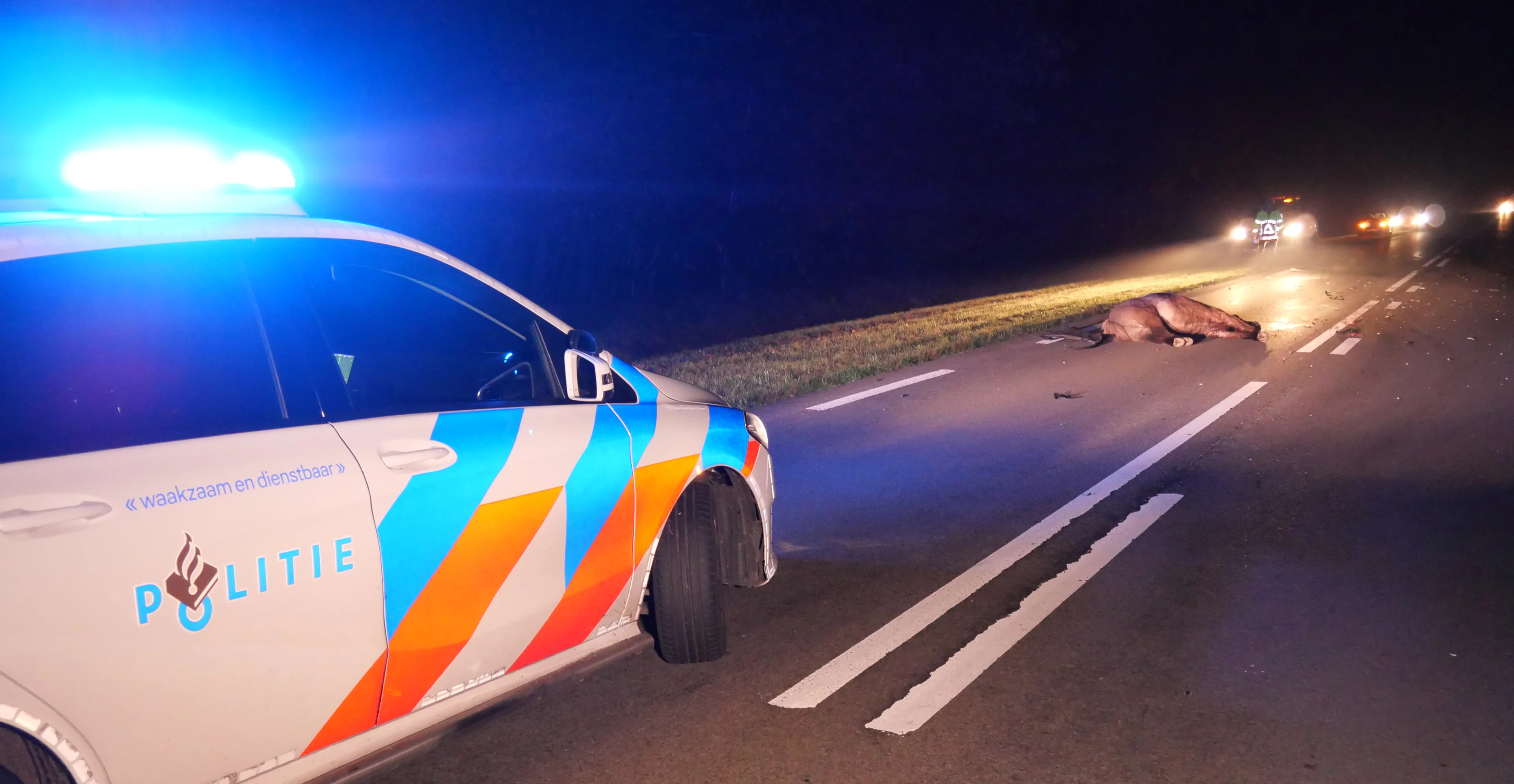 Tragisch ongeluk: paard sterft na aanrijding door auto op N375 bij Pesse