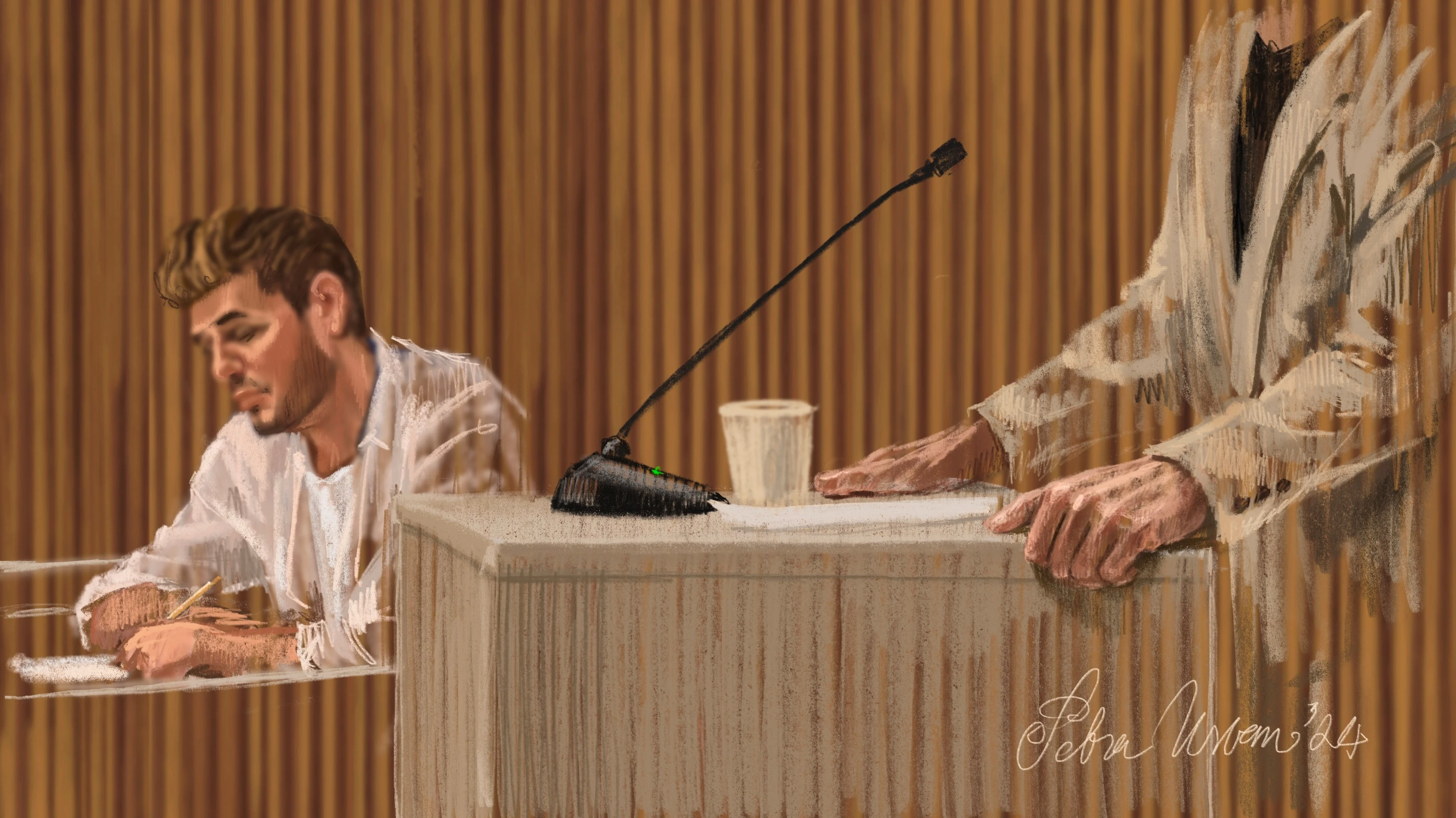 Martijn N. vrijgesproken van verkrachting, wel bestraft voor ontucht met minderjarigen