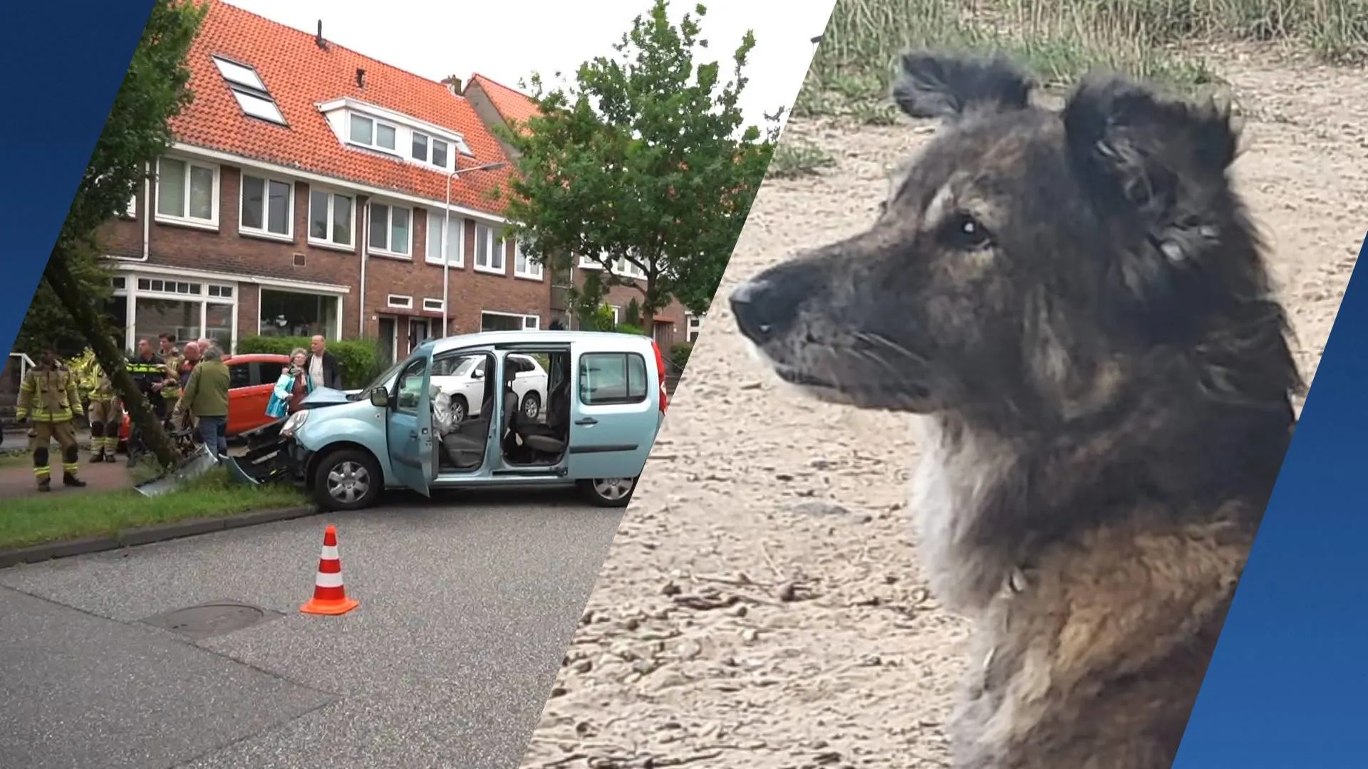 Eigenaren emotioneel en opgelucht: Truusje weer veilig thuis na ongeluk Arnhem