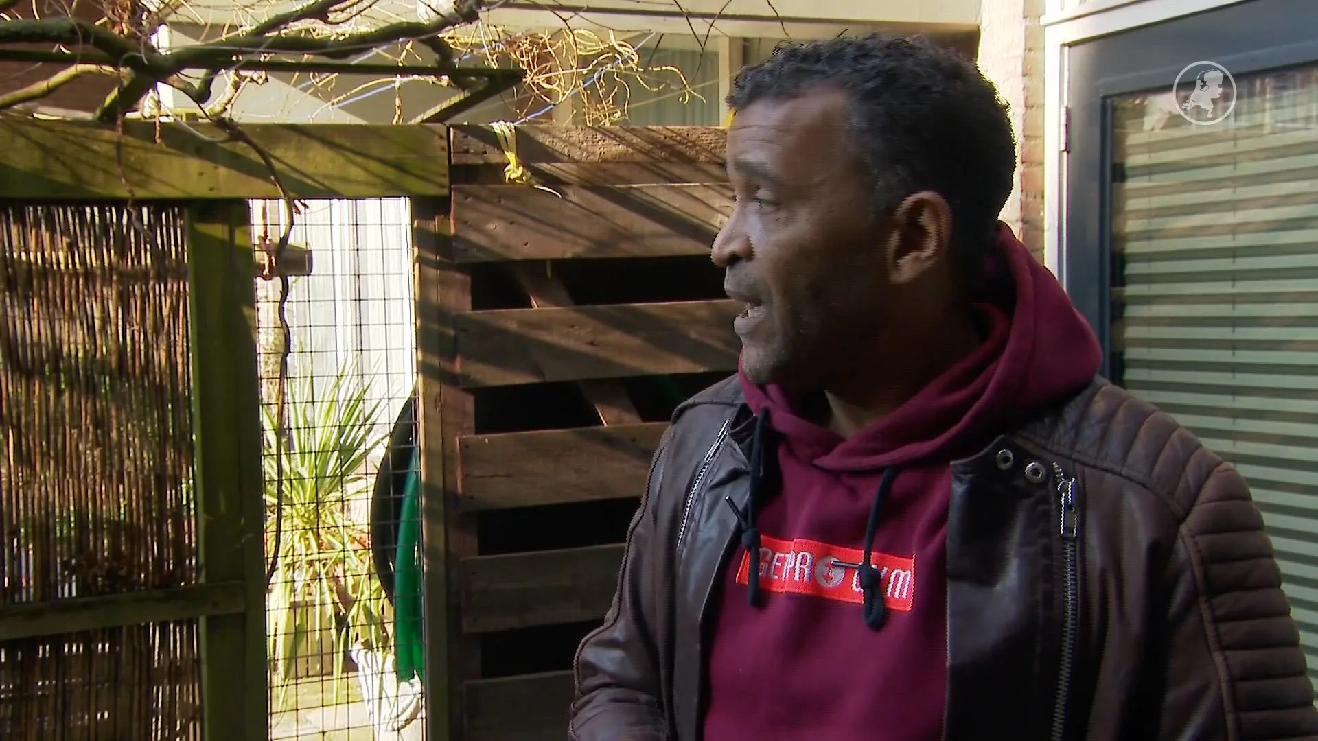 Steden krijgen steeds meer last van ratten, Rotterdam bedenkt deze oplossing