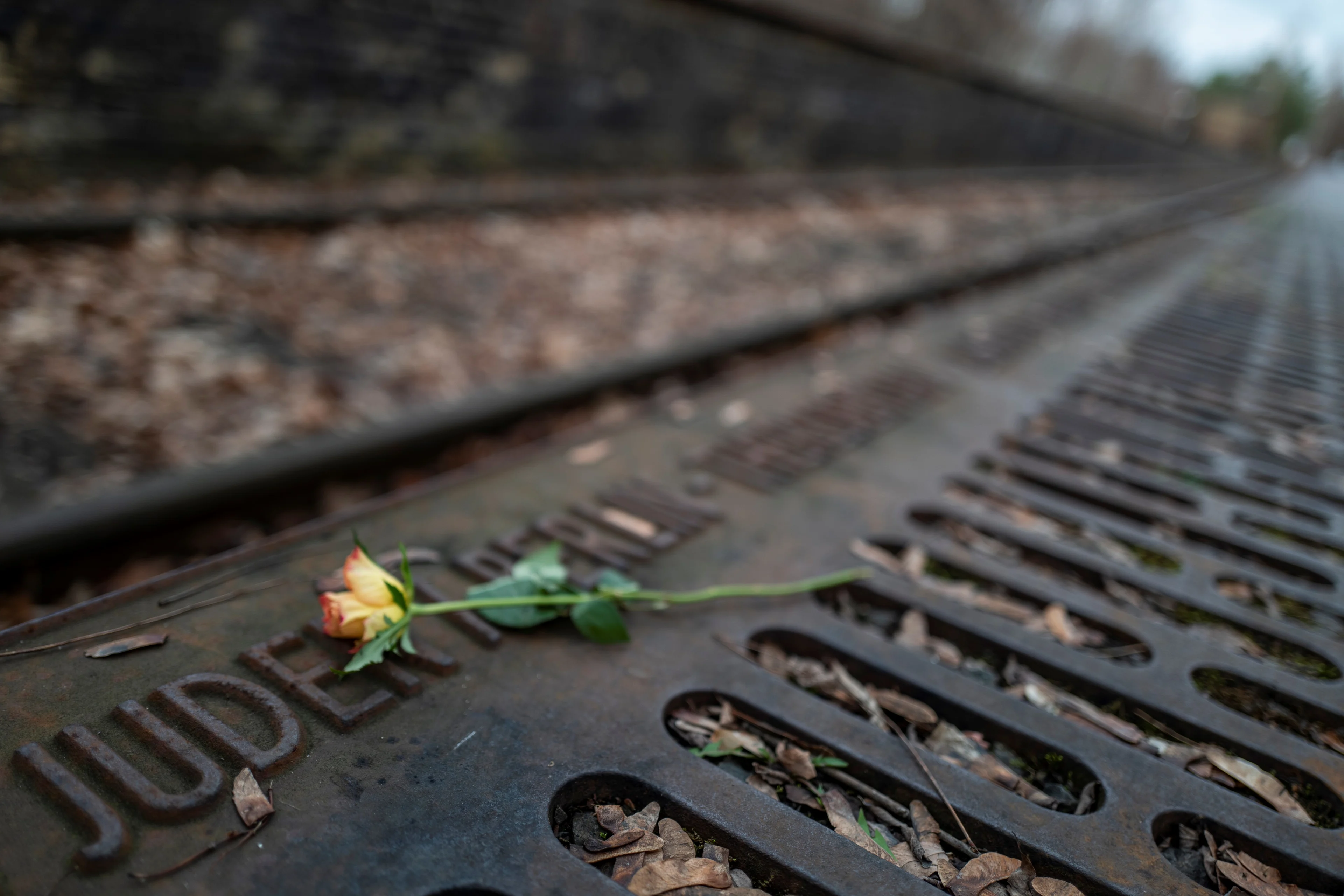 Rina en Maurits overleefden Auschwitz en doen hun verhaal