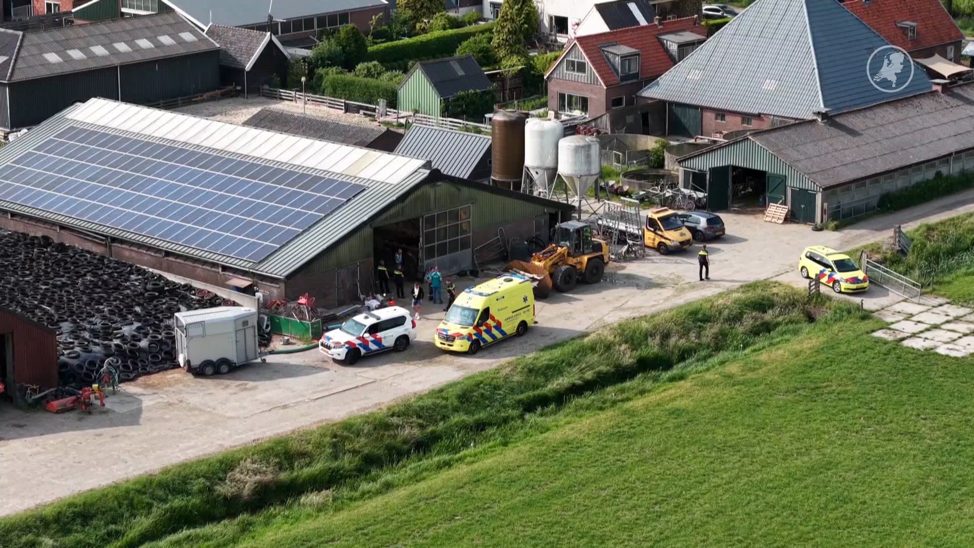 Dode en gewonde na aanval door stier in Stompetoren