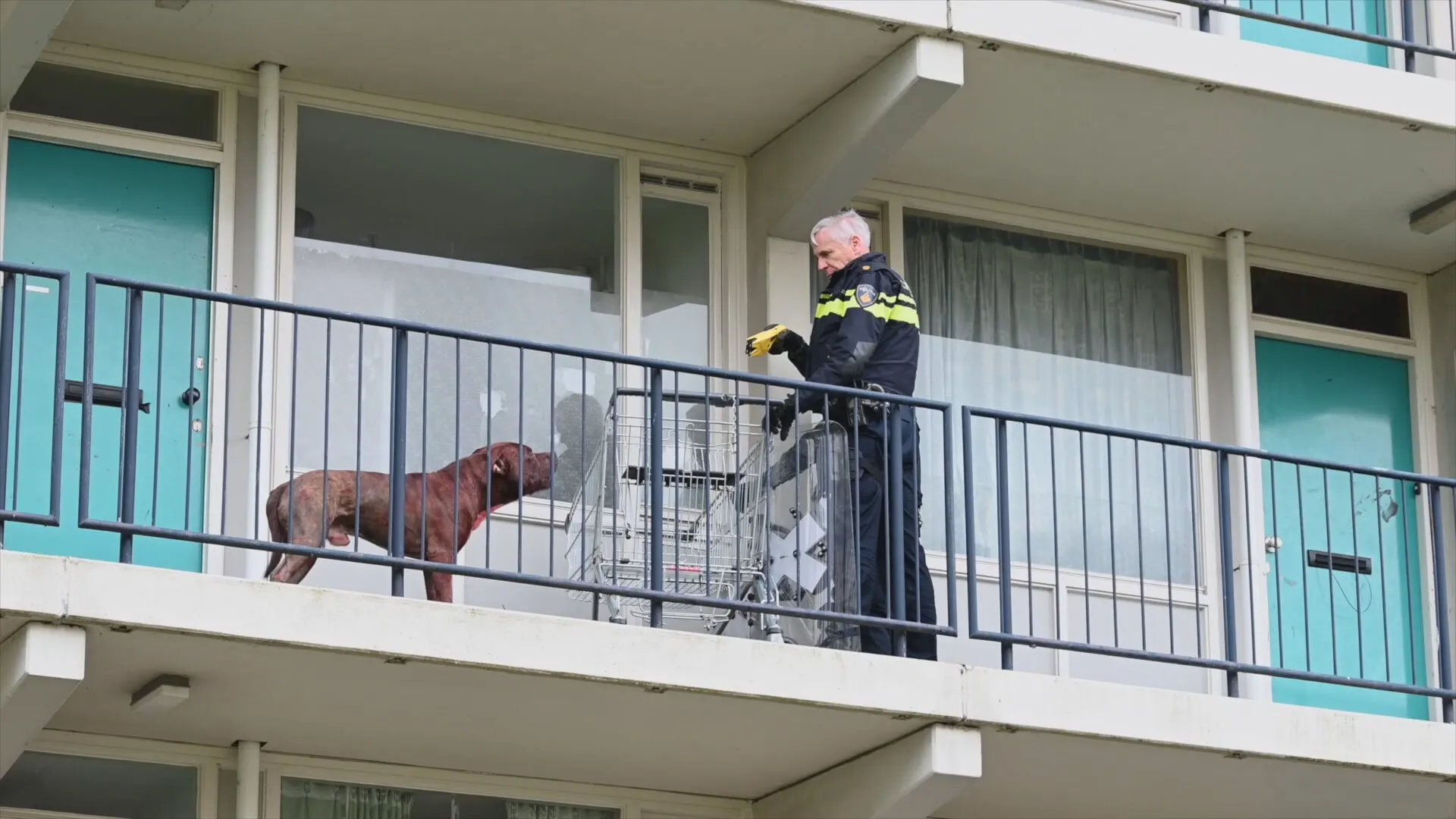 Drie gewonden door bijtende hond in flat Spijkenisse