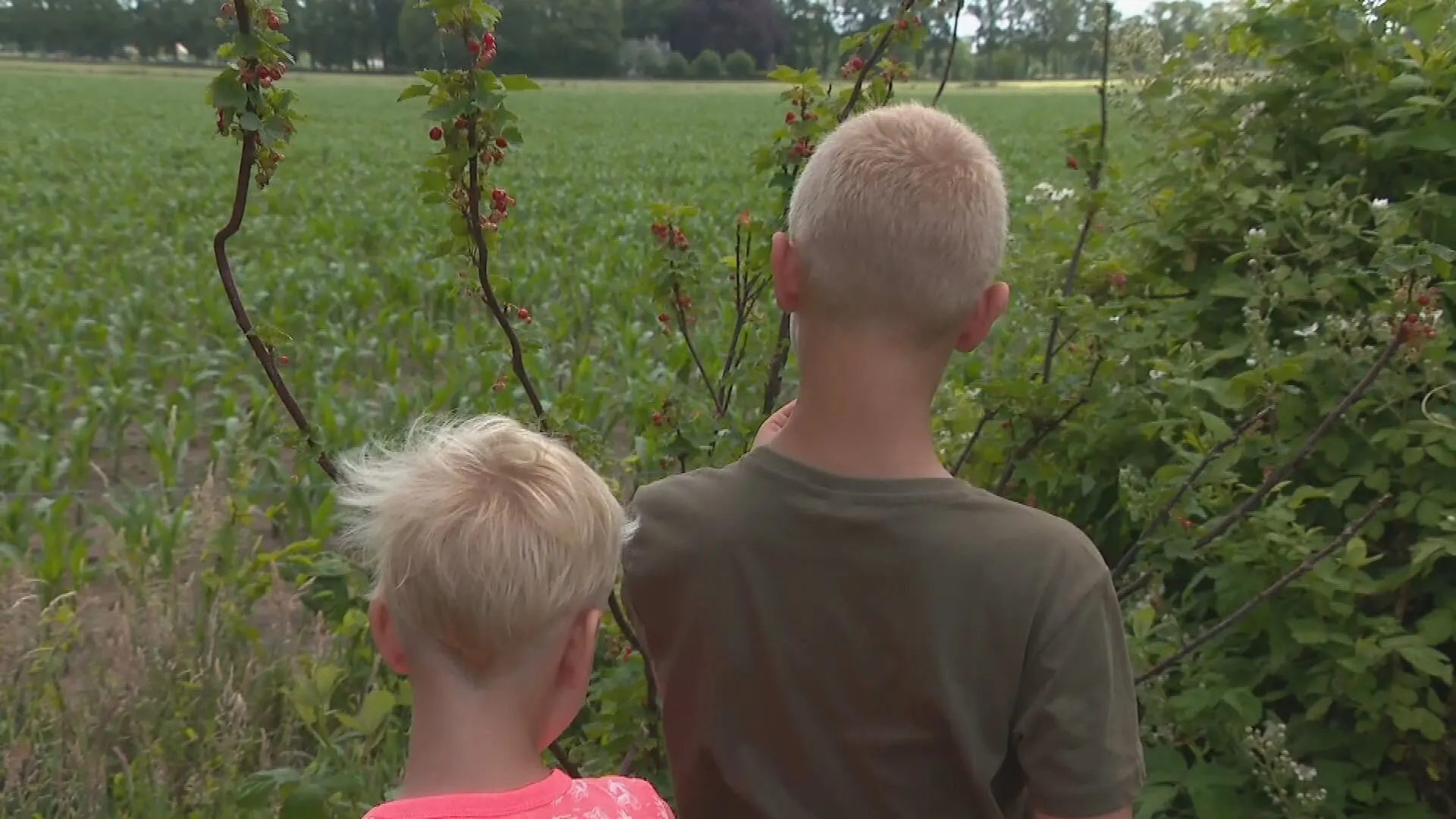 Worteltuinen geven ouders en hun uit huis geplaatste kinderen ruimte