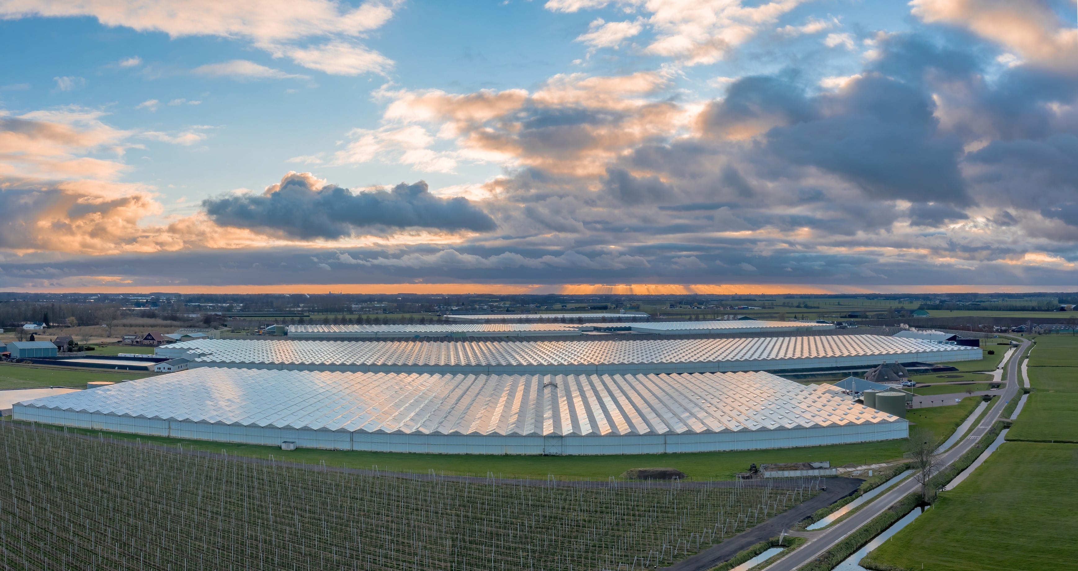 Fraai lenteweer op komst dit weekend