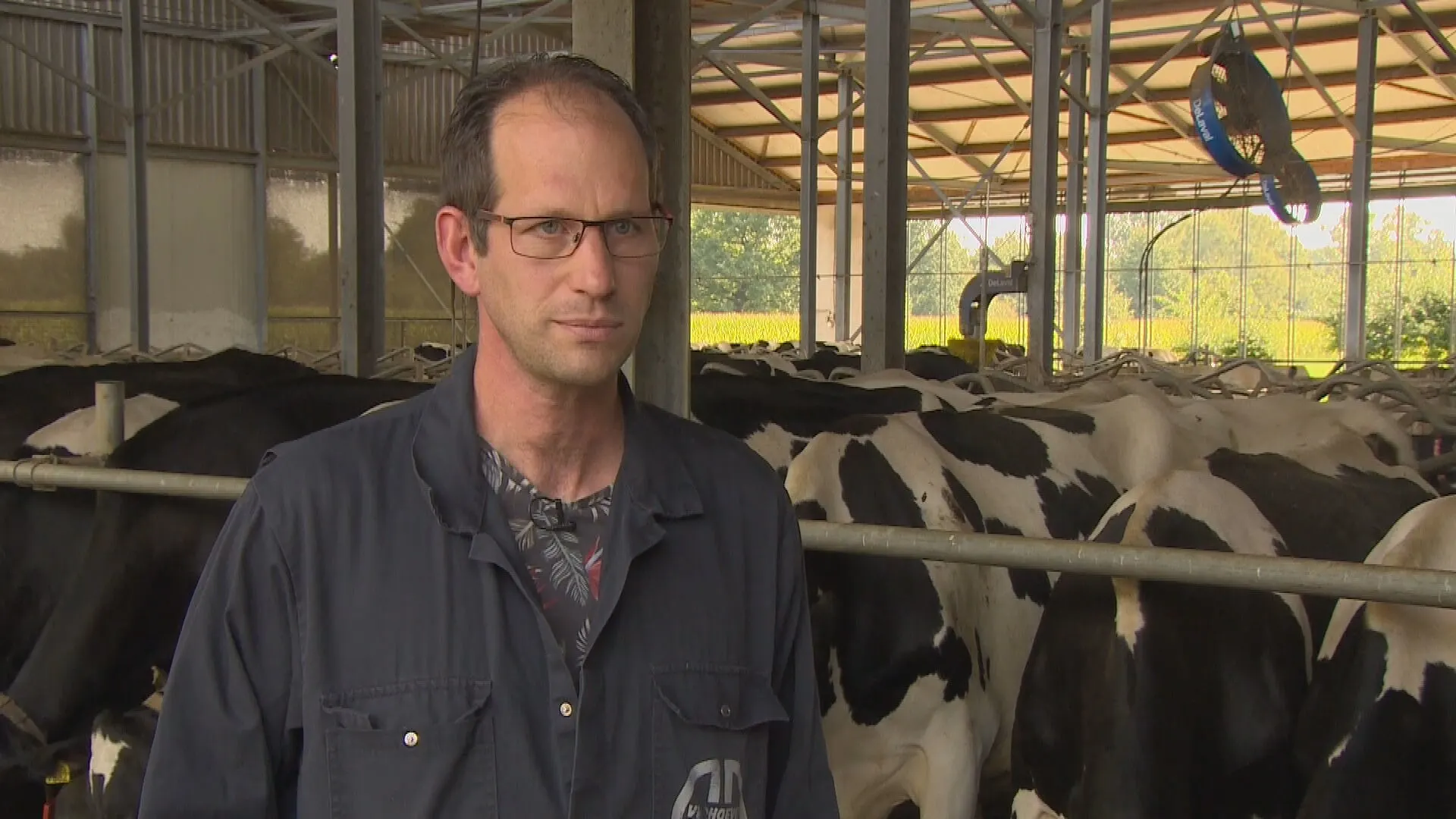 Boeren nauwelijks genoemd in Troonrede: 'Terwijl alle problemen op ons bordje terechtkomen'