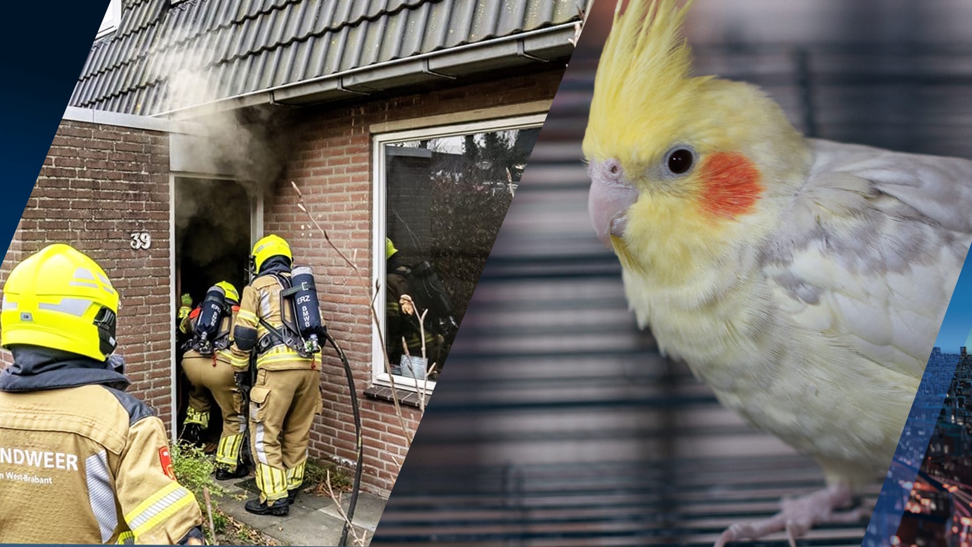 Vrouw uit brandende woning gered, valkparkiet overleden