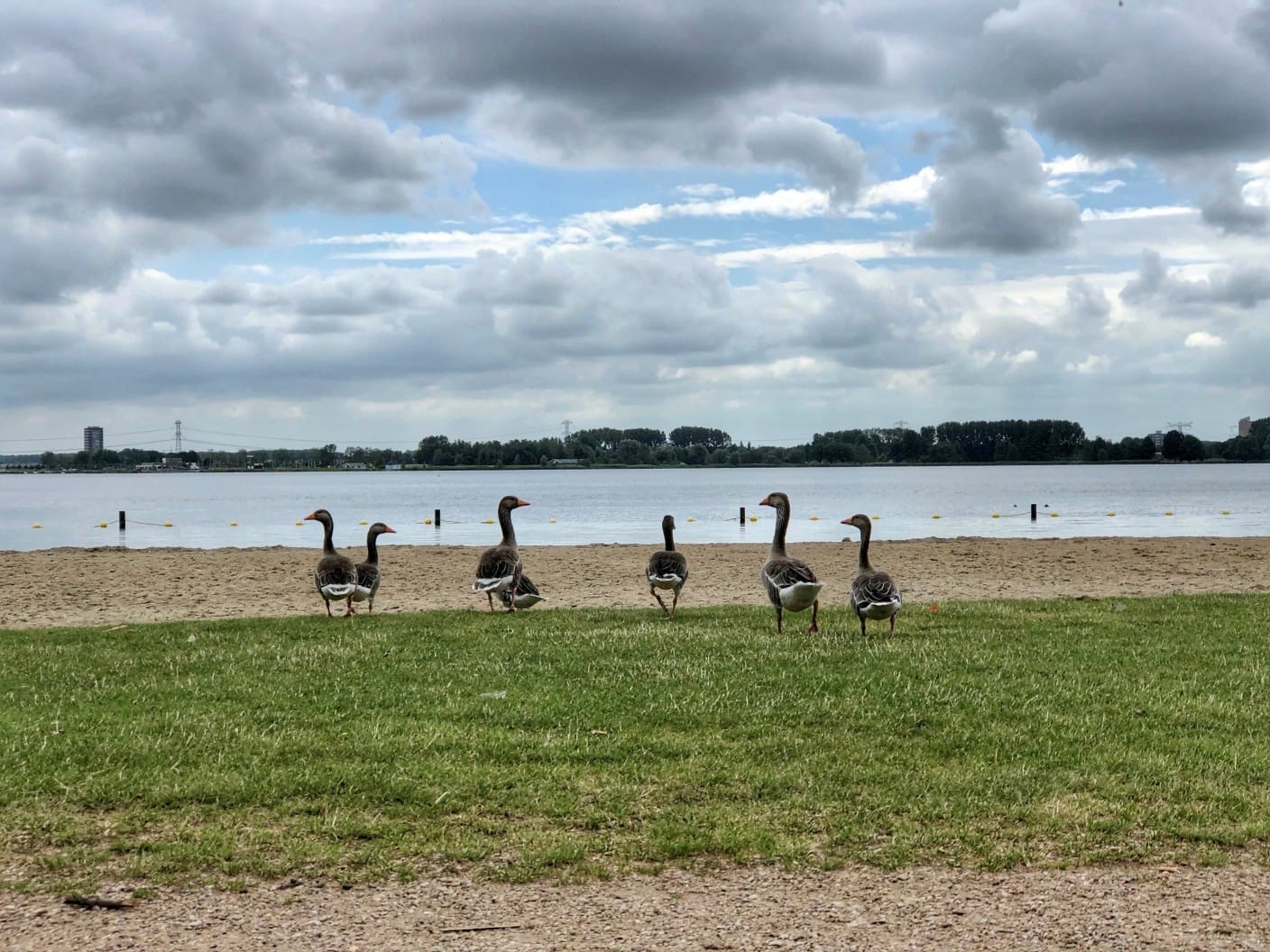 Nog heel even geduld: in het weekend keert de zomer terug