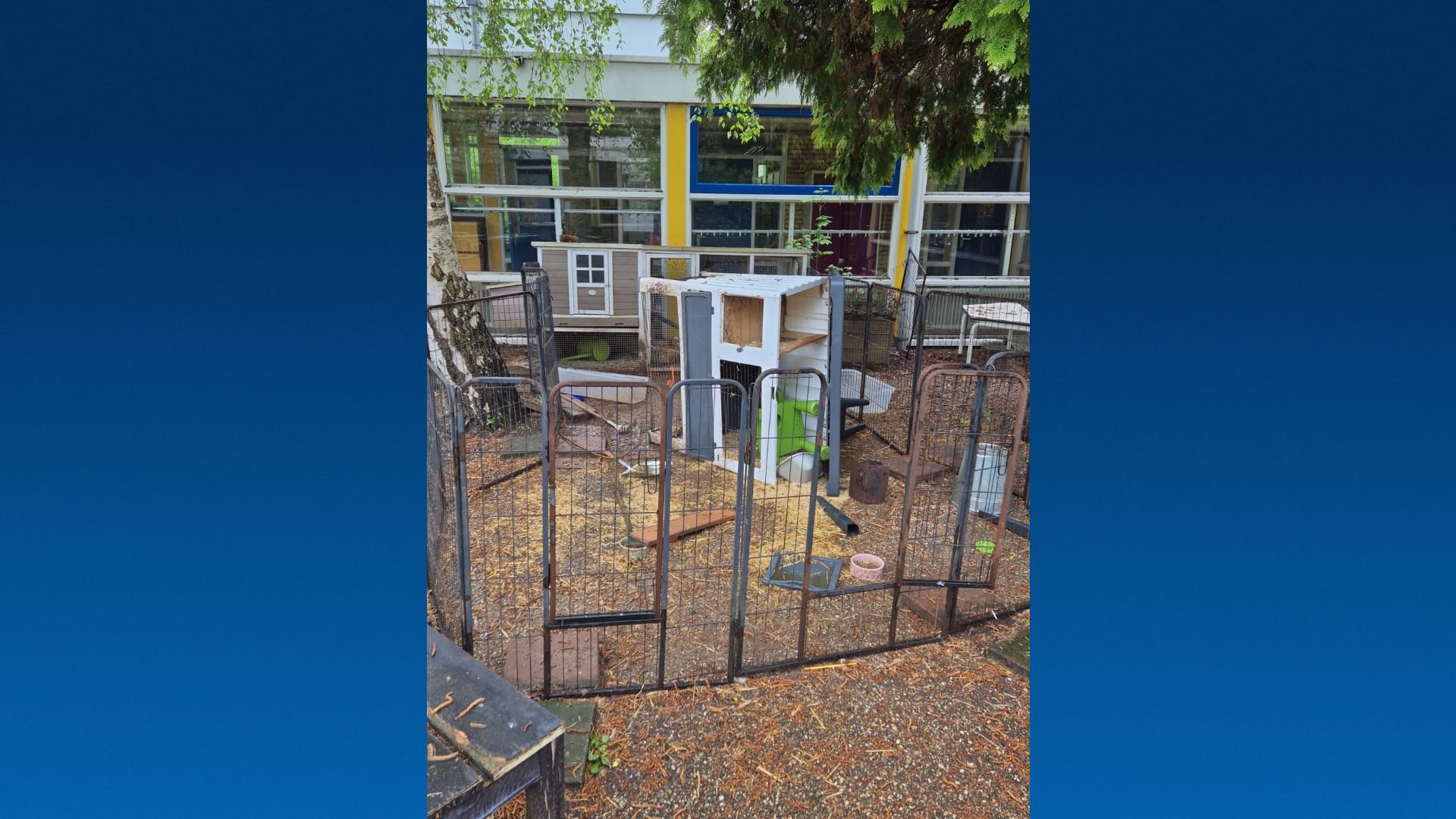 Meerdere dieren van basisschool Zwanenburg 'op gruwelijke wijze' gedood