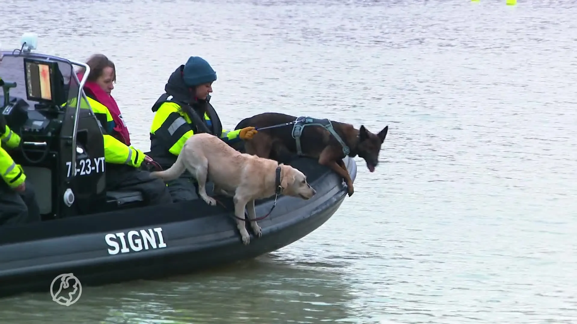 Signi Zoekhonden kan nauwelijks nog zoeken naar vermisten door beperkende regels