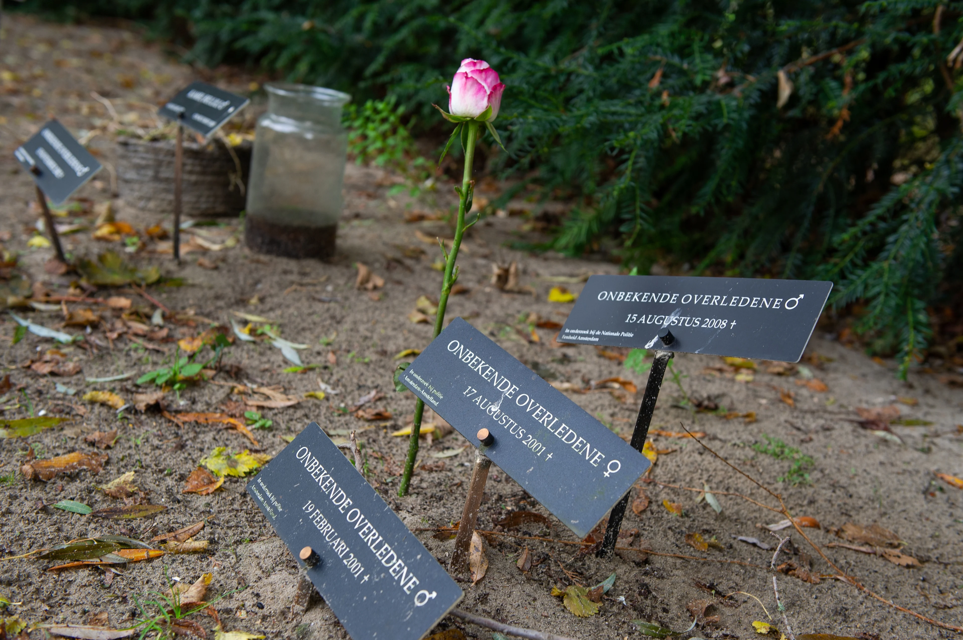 Hoe een politieteam zoekt naar de identiteit van onbekende doden: ‘Iedereen heeft recht op een naam’ 