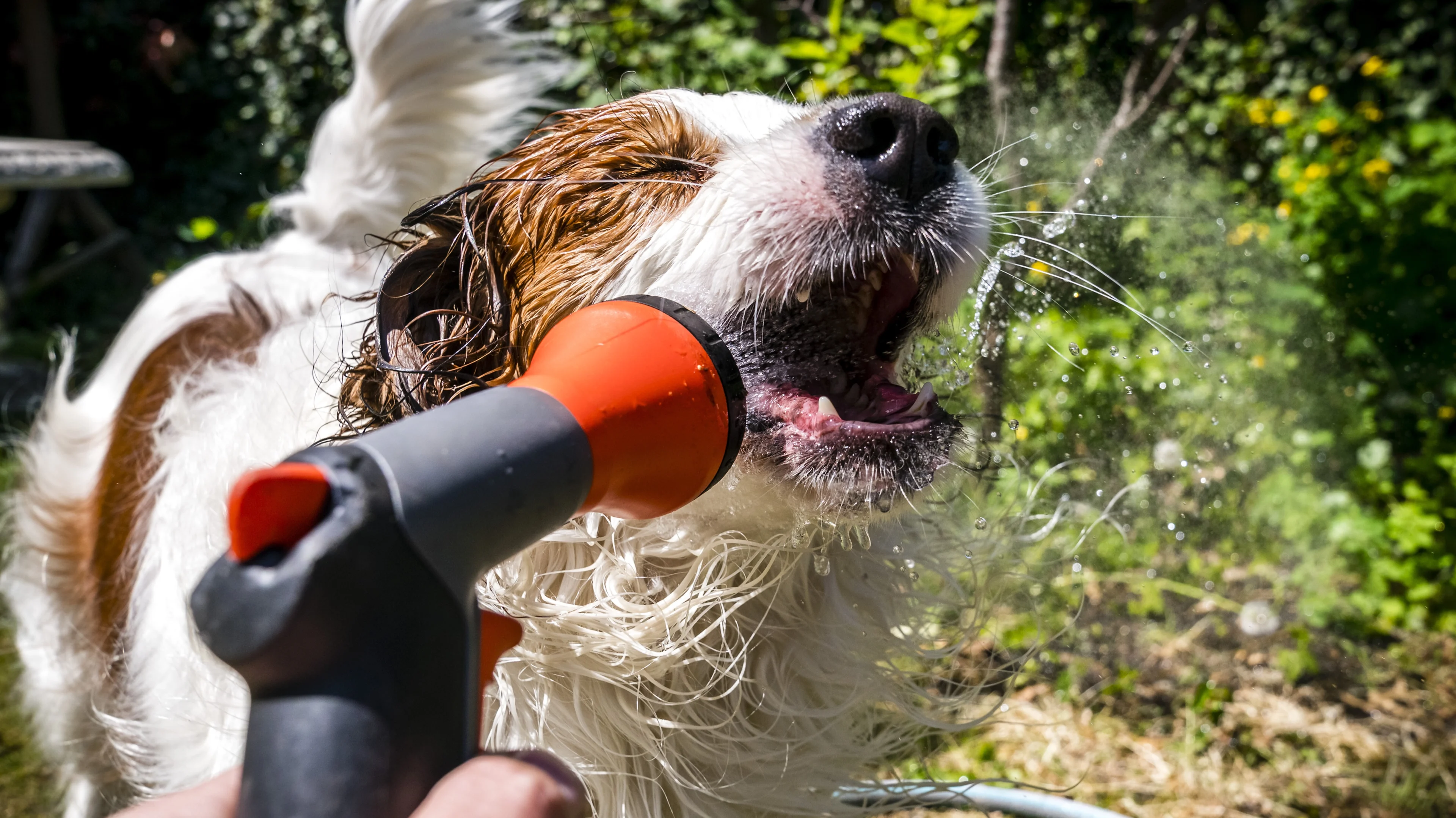 Pak je zonnebril en zonnebrand: zo zomers voelen deze dagen aan