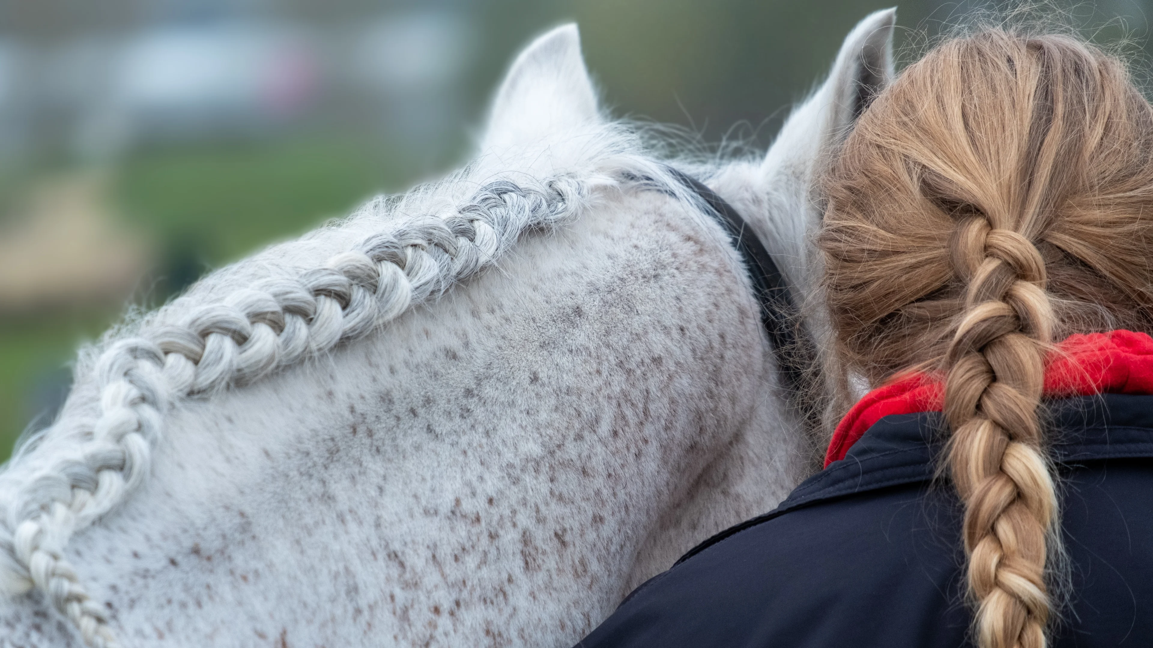 Man vroeg naaktfoto's van meisjes (13 en 14) in ruil voor paard