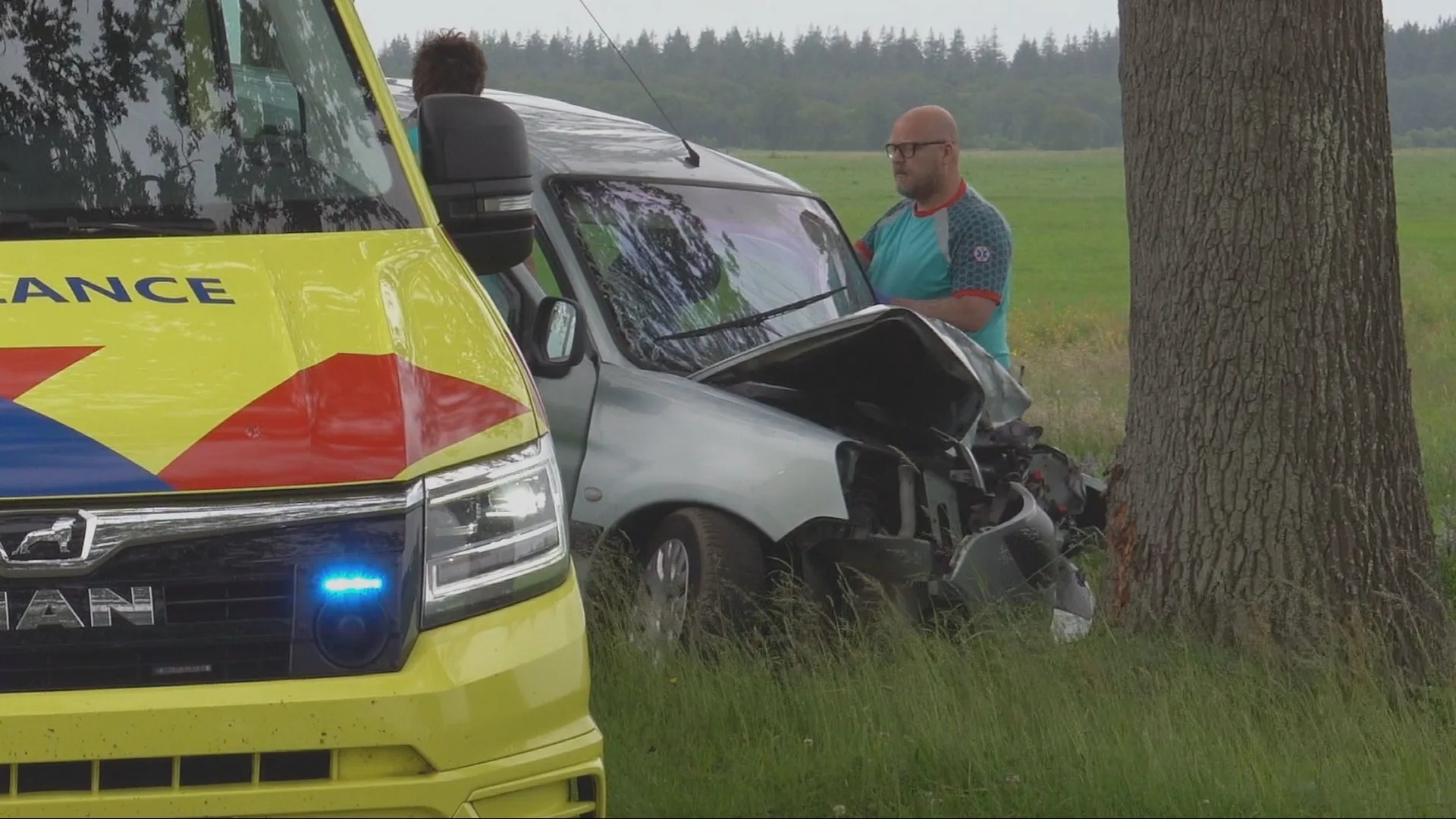 Automobilist (69) overleden na botsing tegen boom in Zeijerveld
