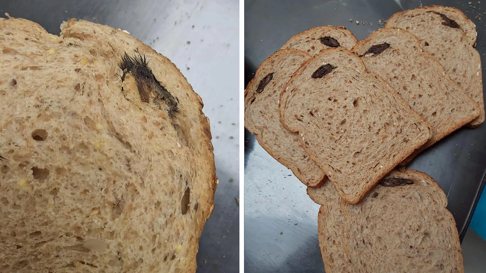 Traumatische ervaring: Helmondse vindt dode muis in gesneden brood van Albert Heijn