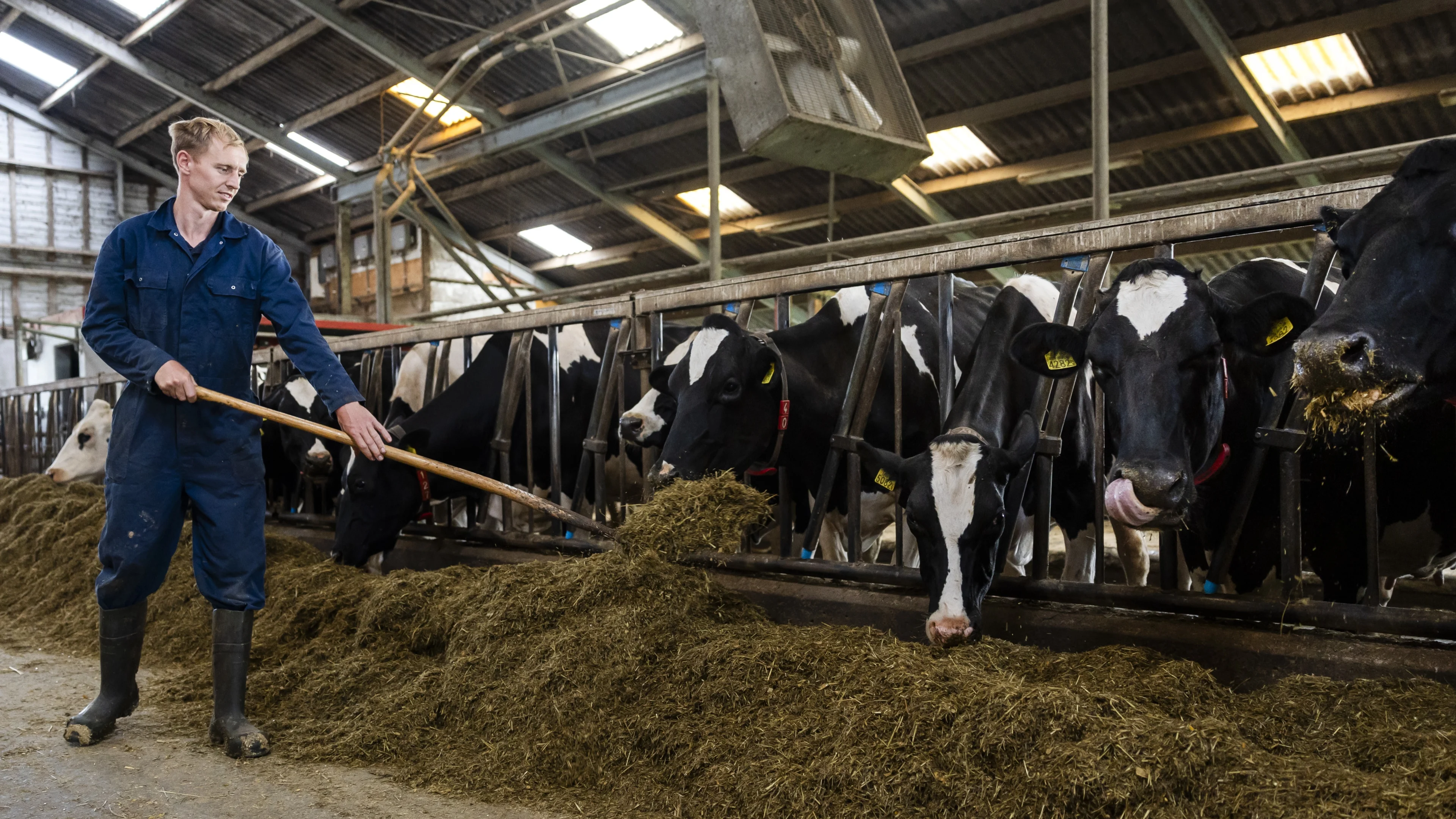 Tegen de trend in: steeds vaker jonge boer aan het roer