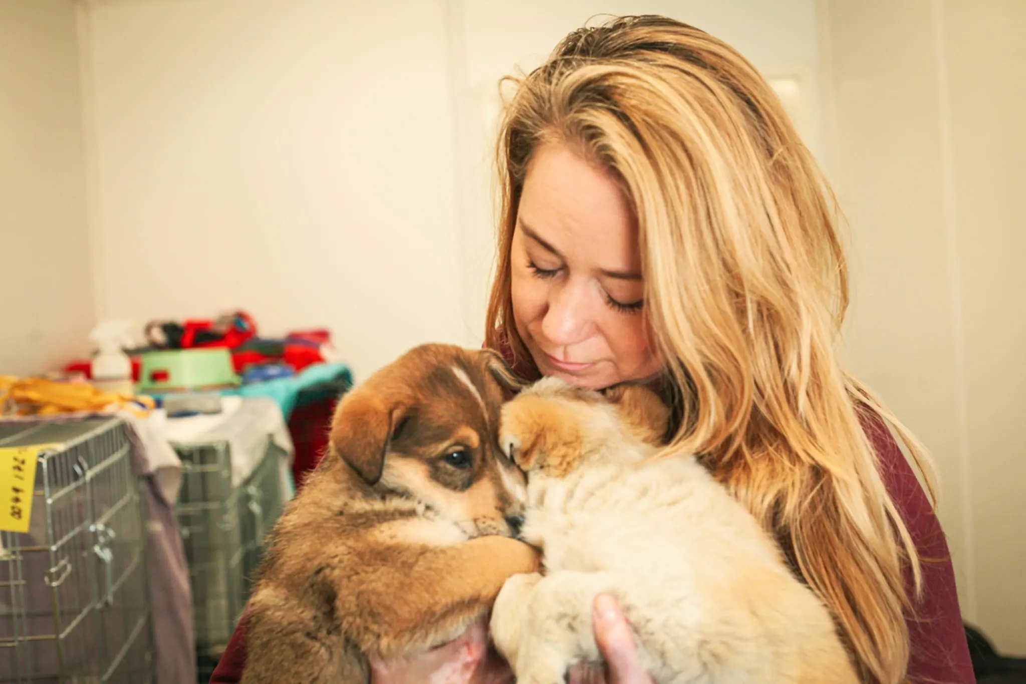 House of Animals helpt dieren in en uit Oekraïne: 'Ze moeten gewoon geholpen worden'