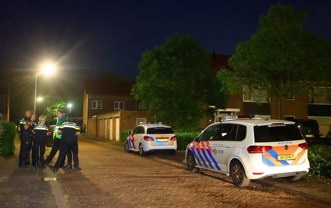 Persoon ernstig gewond door steekpartij in Den Bosch